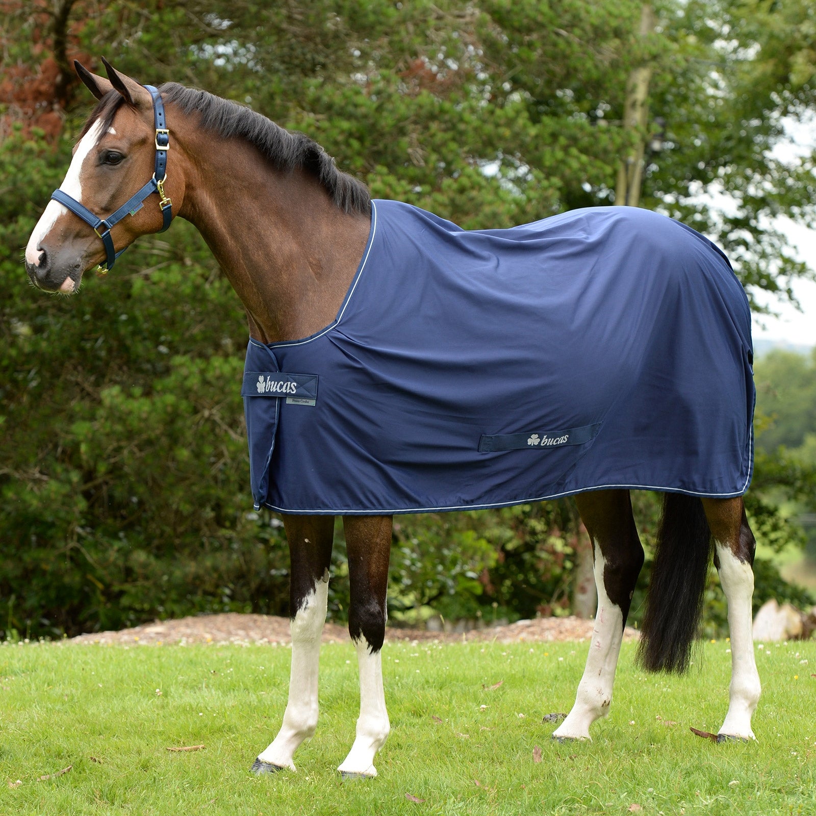 Bucas Shamrock Power Cooler Pony Abschwitzdecke Pferdedecken