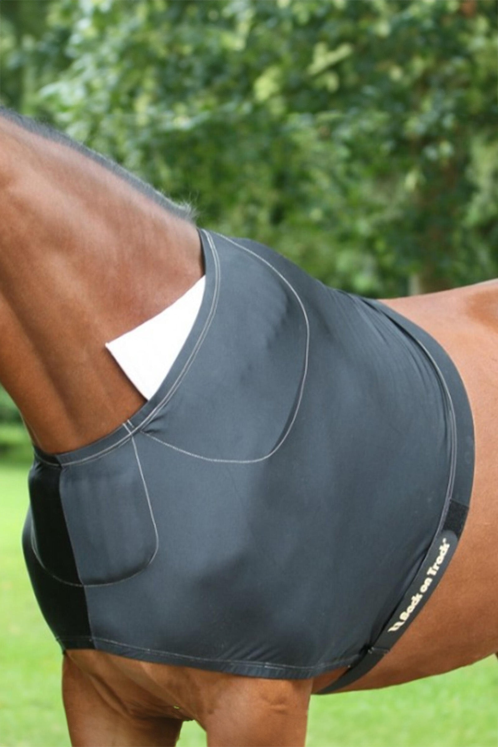 Back on Track Schulterschutz Pferdedecken