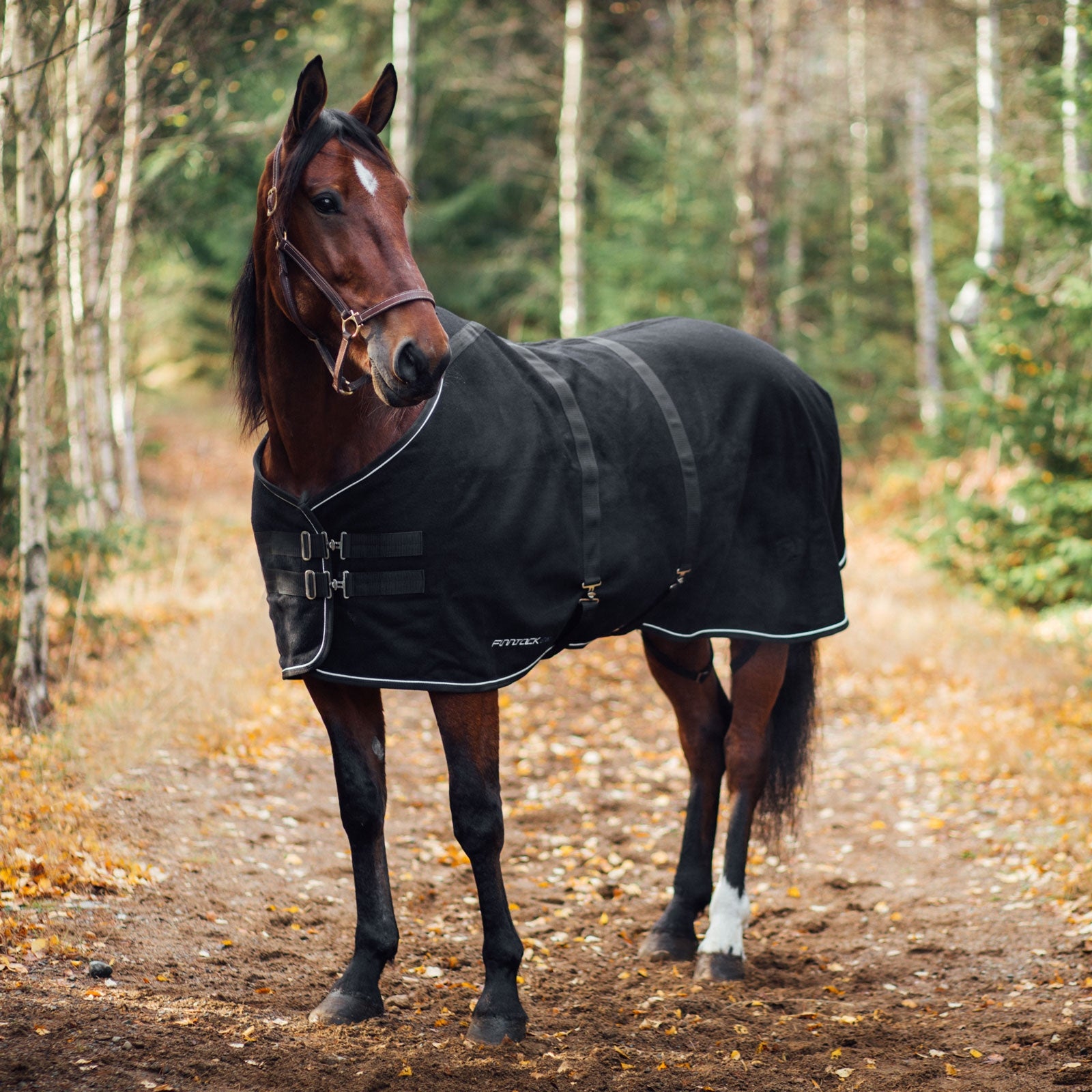 Finntack Elite Abschwitzdecke aus Wolle Pferdedecken