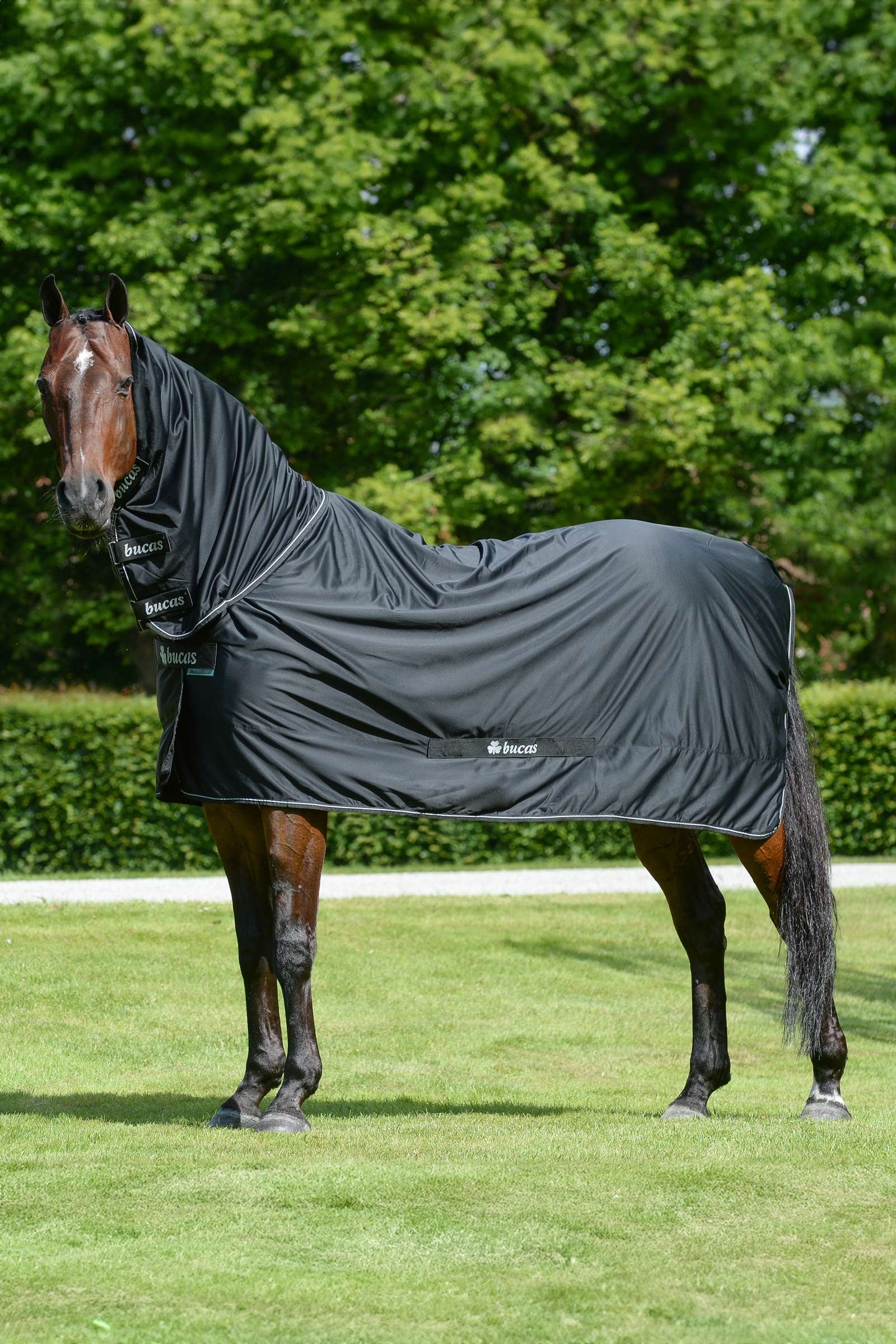 Bucas Shamrock Power Rug with Full Neck Horse Rugs
