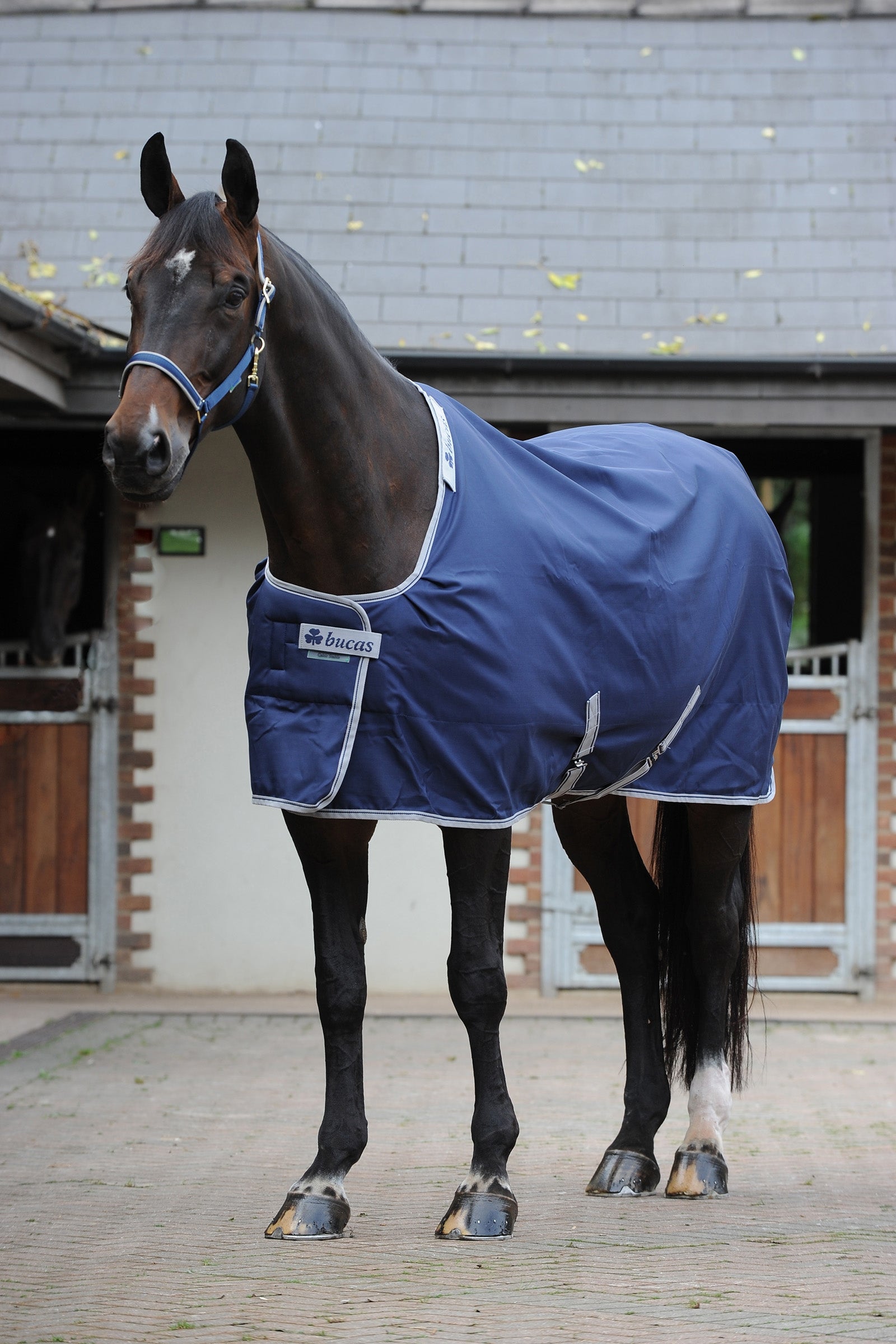 Bucas Celtic Stable Extra decke Pferdedecken