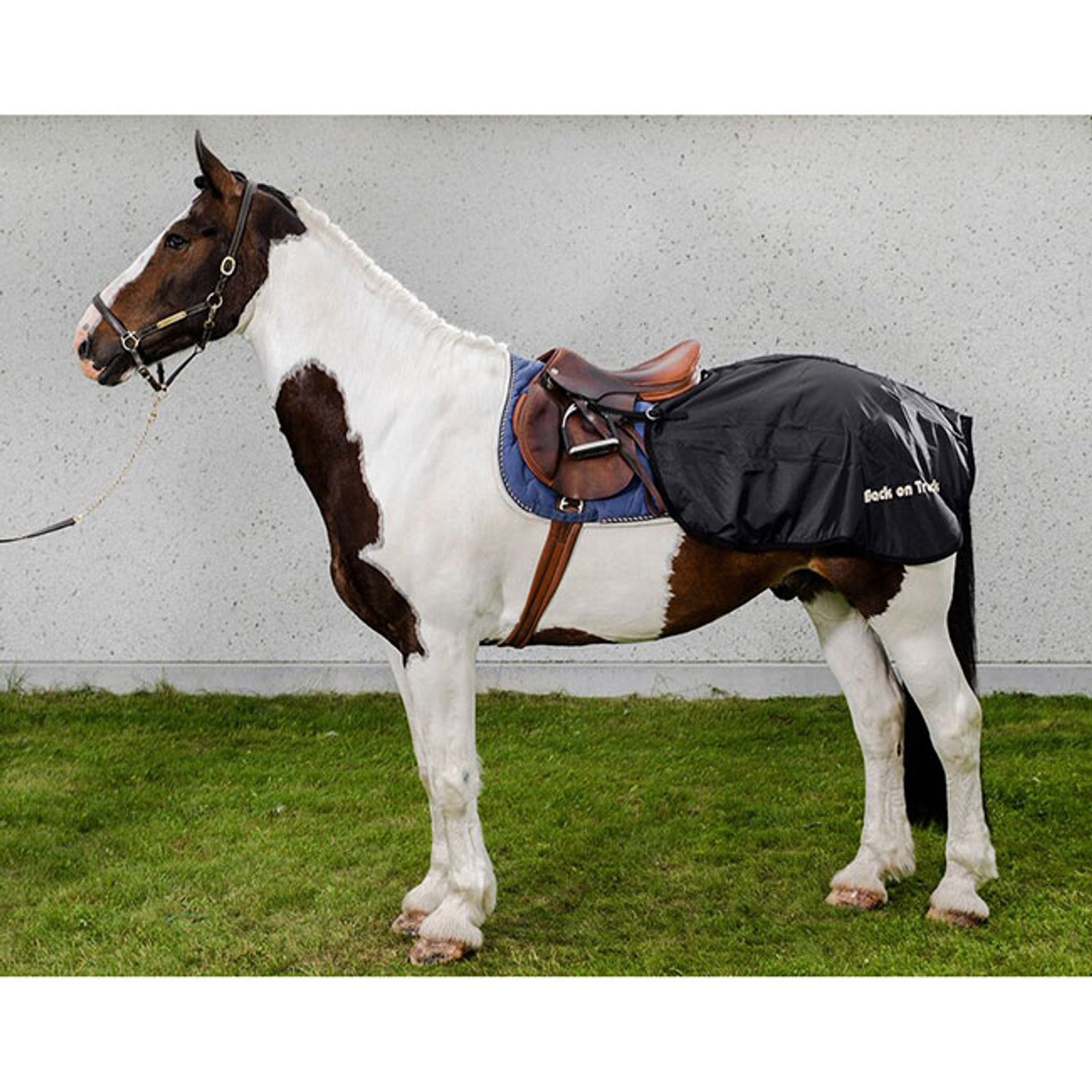Back on Track Nierendecke Pferdedecken