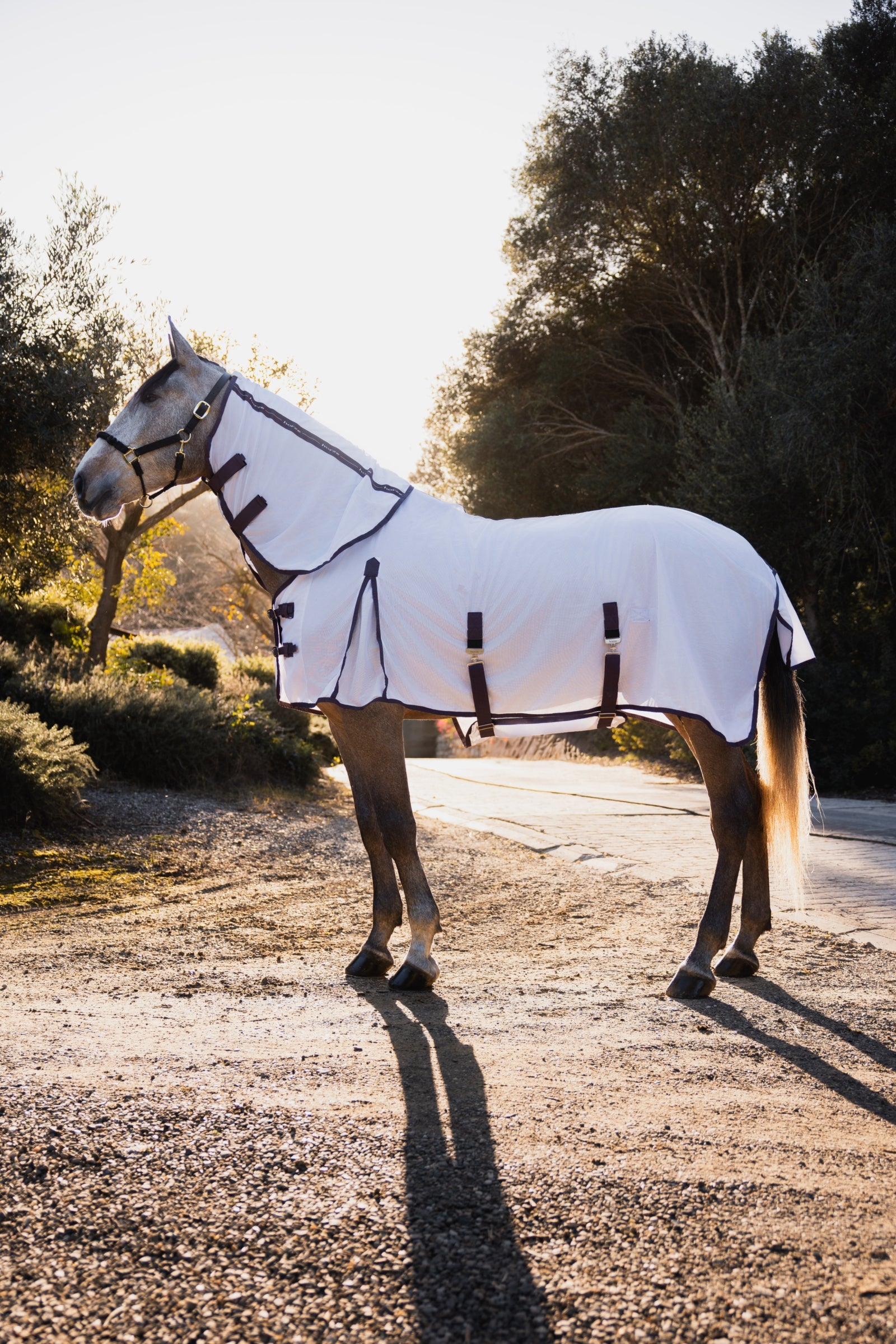 Horze La Paz Fly Set with Rug, Detachable Neck and Mask Horse Rugs