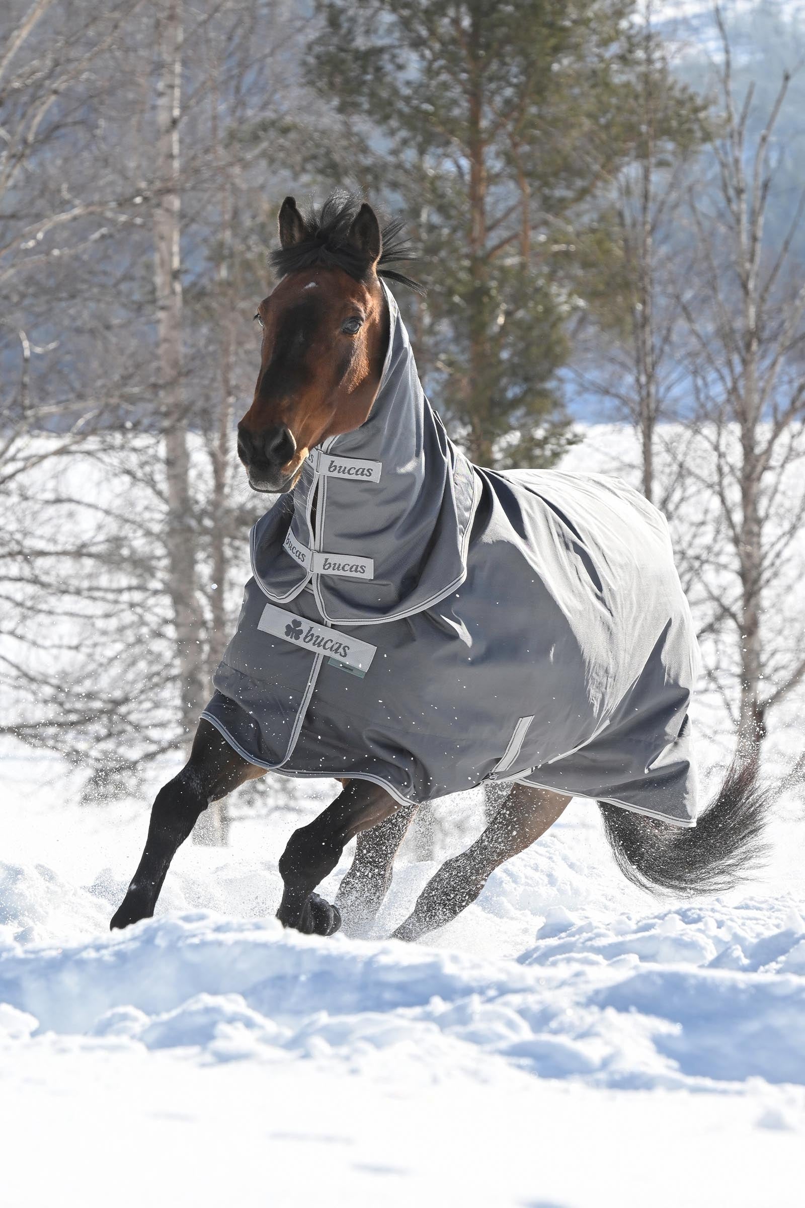 Bucas Smartex Neck, 0 g Horse Rugs