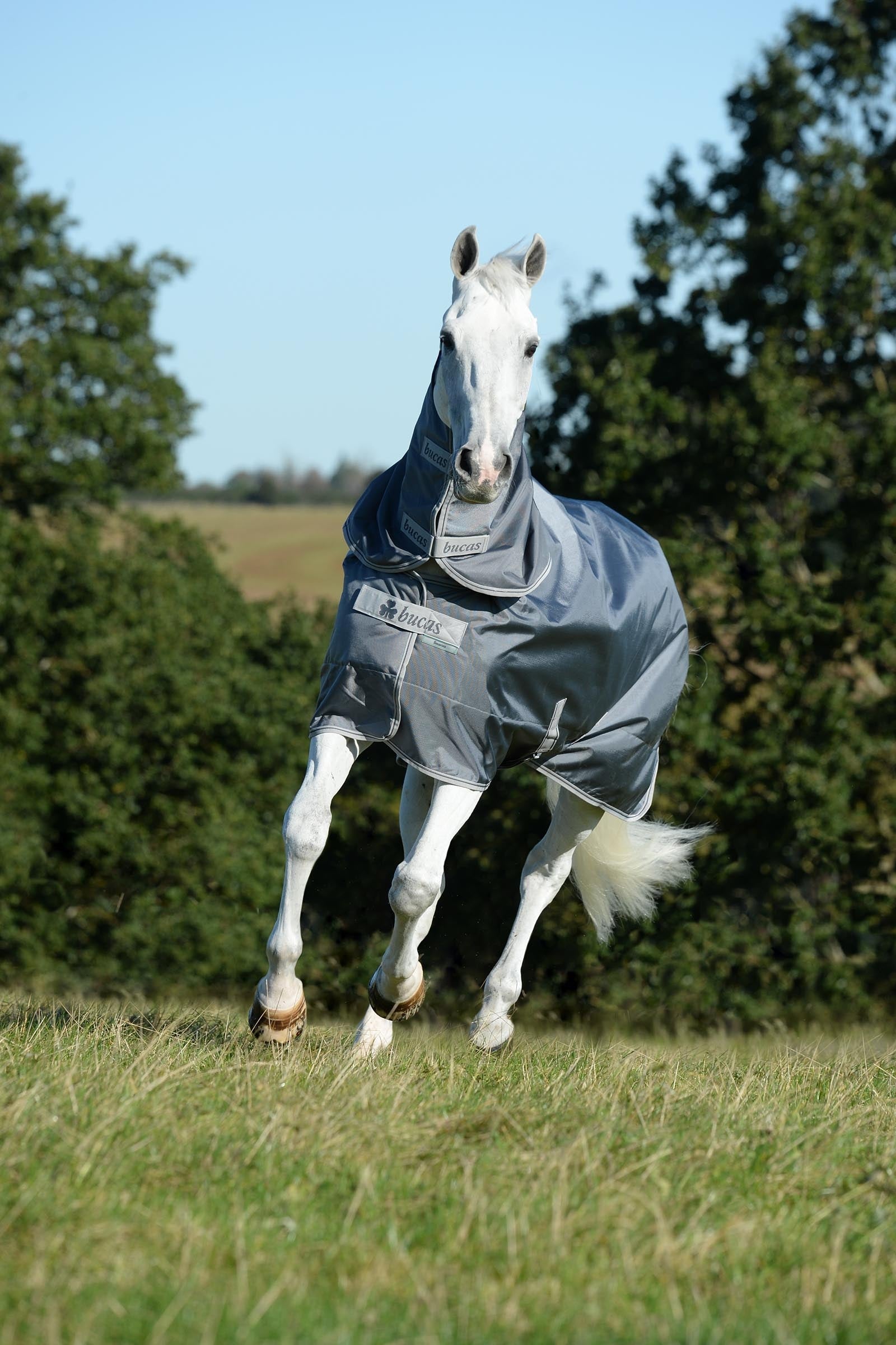 Bucas Smartex Neck, 0 g Horse Rugs