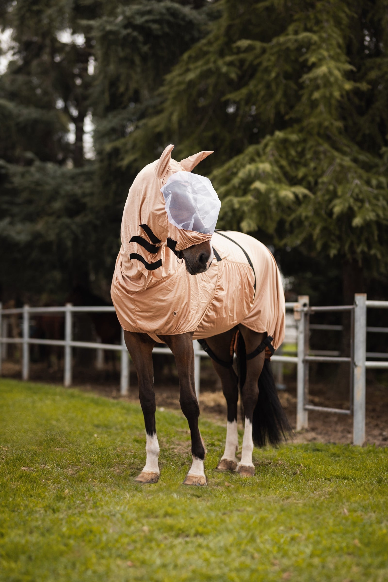 Horze Cover UV Eczema Rug with Full Neck and Belly Flap Horse Rugs