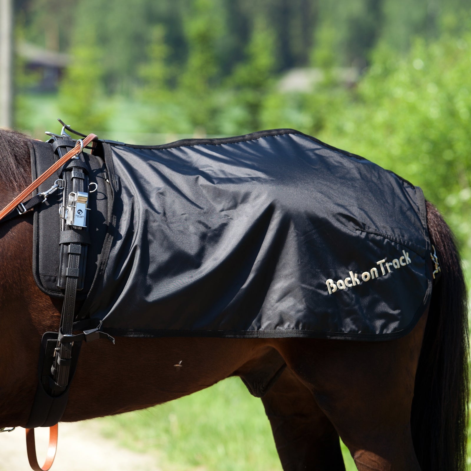 Back on Track Trab Trainingsdecke, schwedisches Modell Pferdedecken