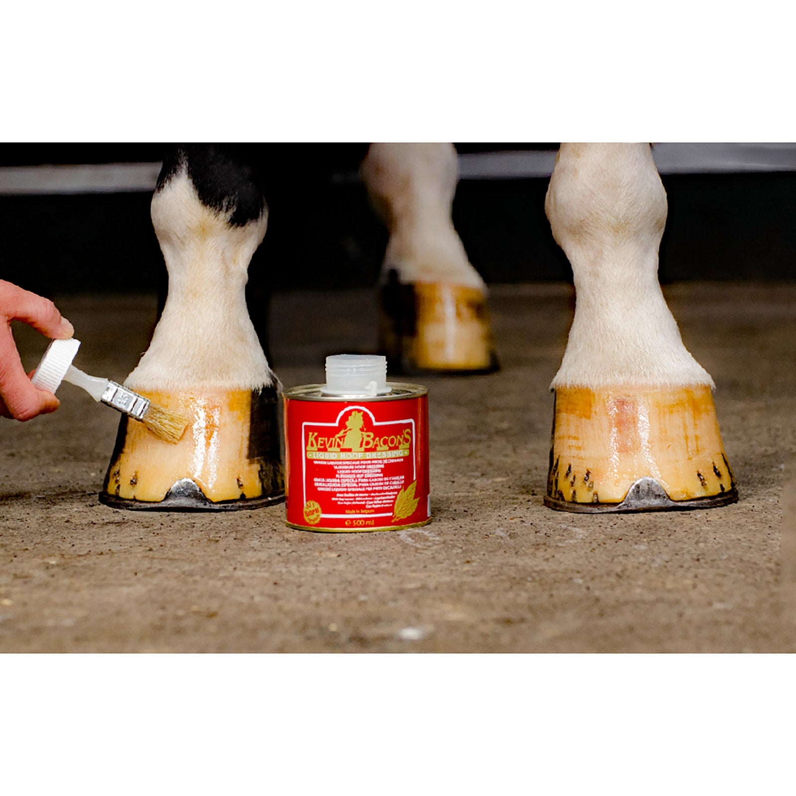 Kevin Bacon´s Kevin Bacon's Liquid Hoof Dressing, 500 ml Horse Health Care