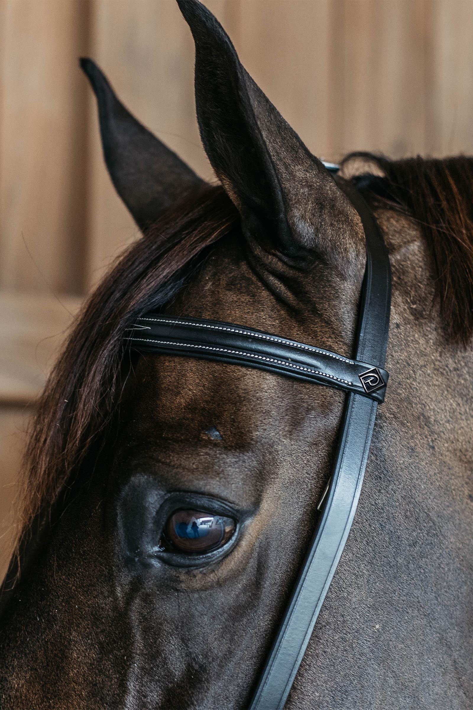 Dy'on Working Training Bridle Bridles & Reins