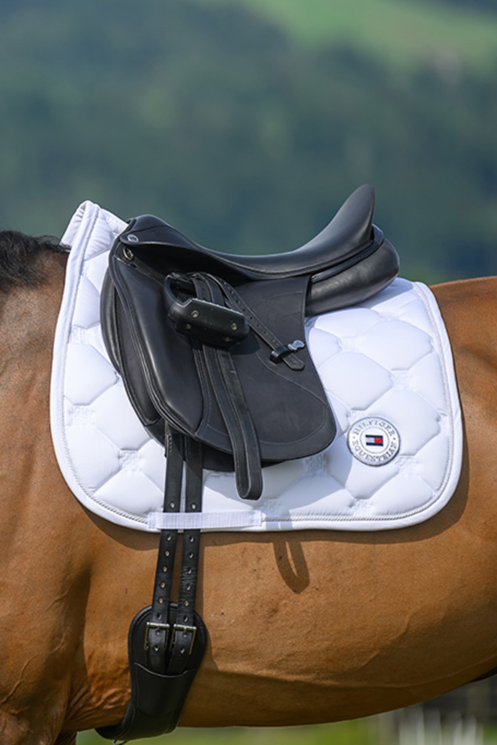 Tommy Hilfiger Equestrian Liberty Dressurschabracke Schabracken