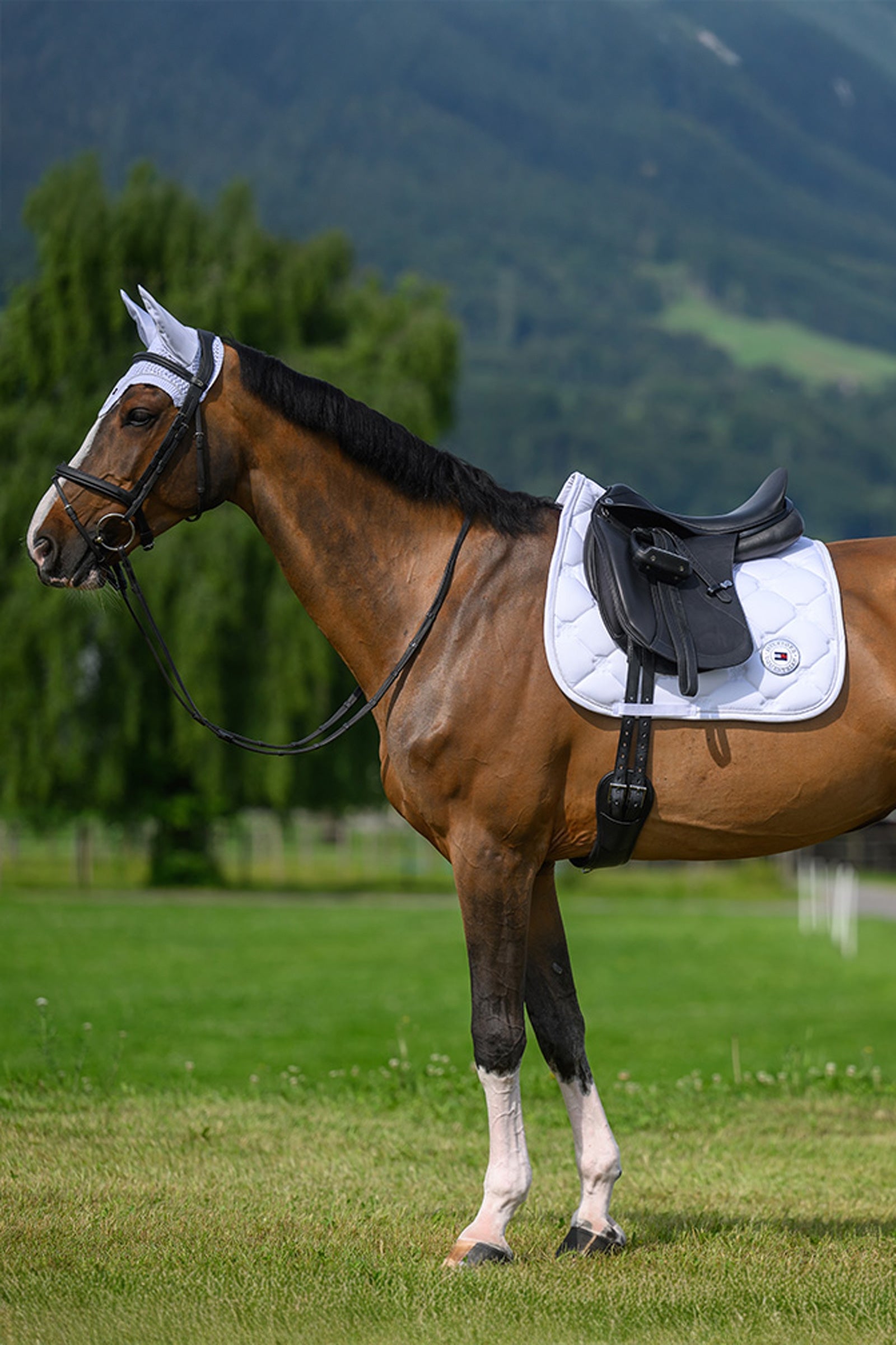 Tommy Hilfiger Equestrian Liberty Dressage Saddle Pad Saddle Pads