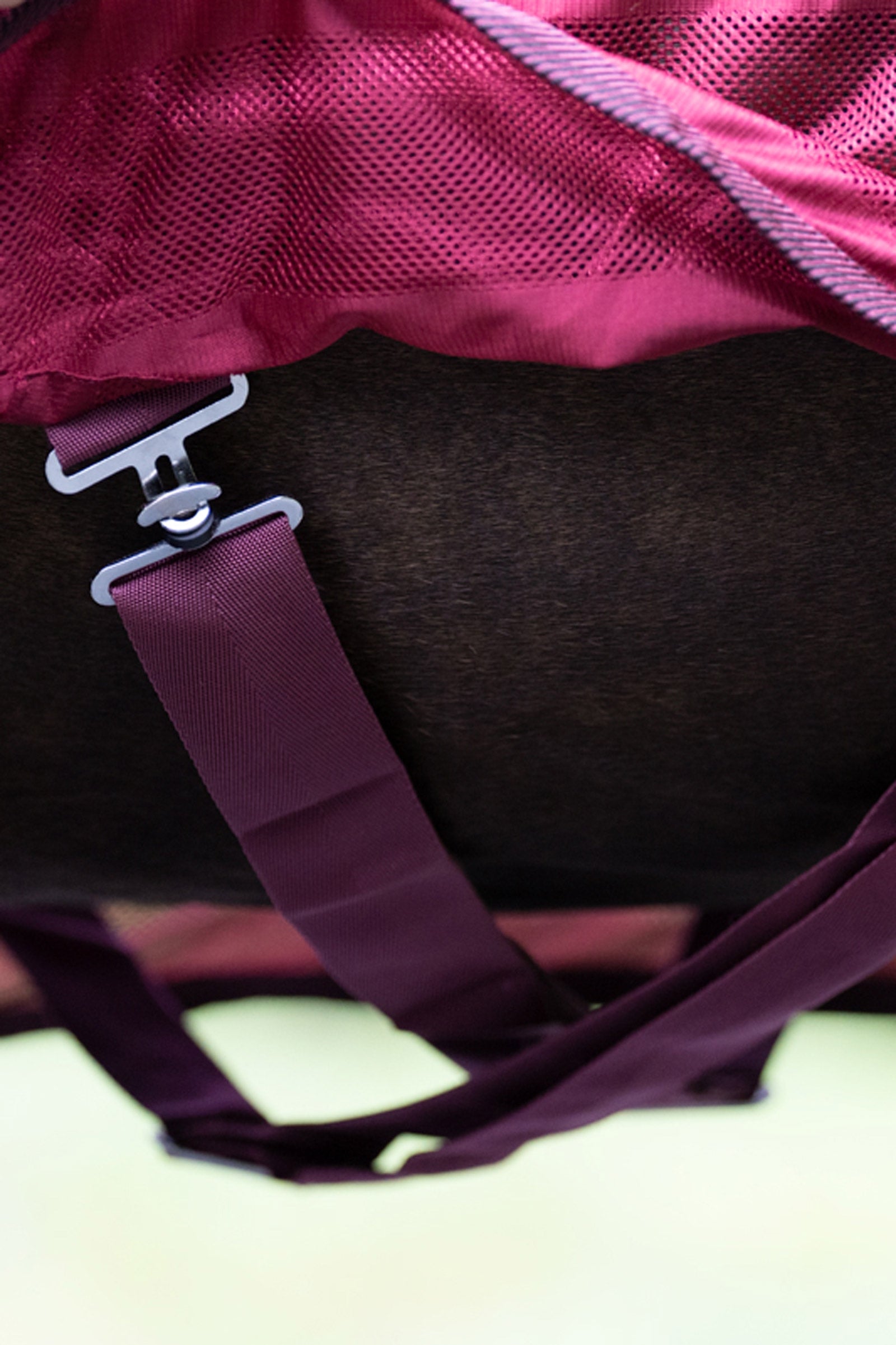 Kavalkade Stripe Fly Rug Horse Rugs