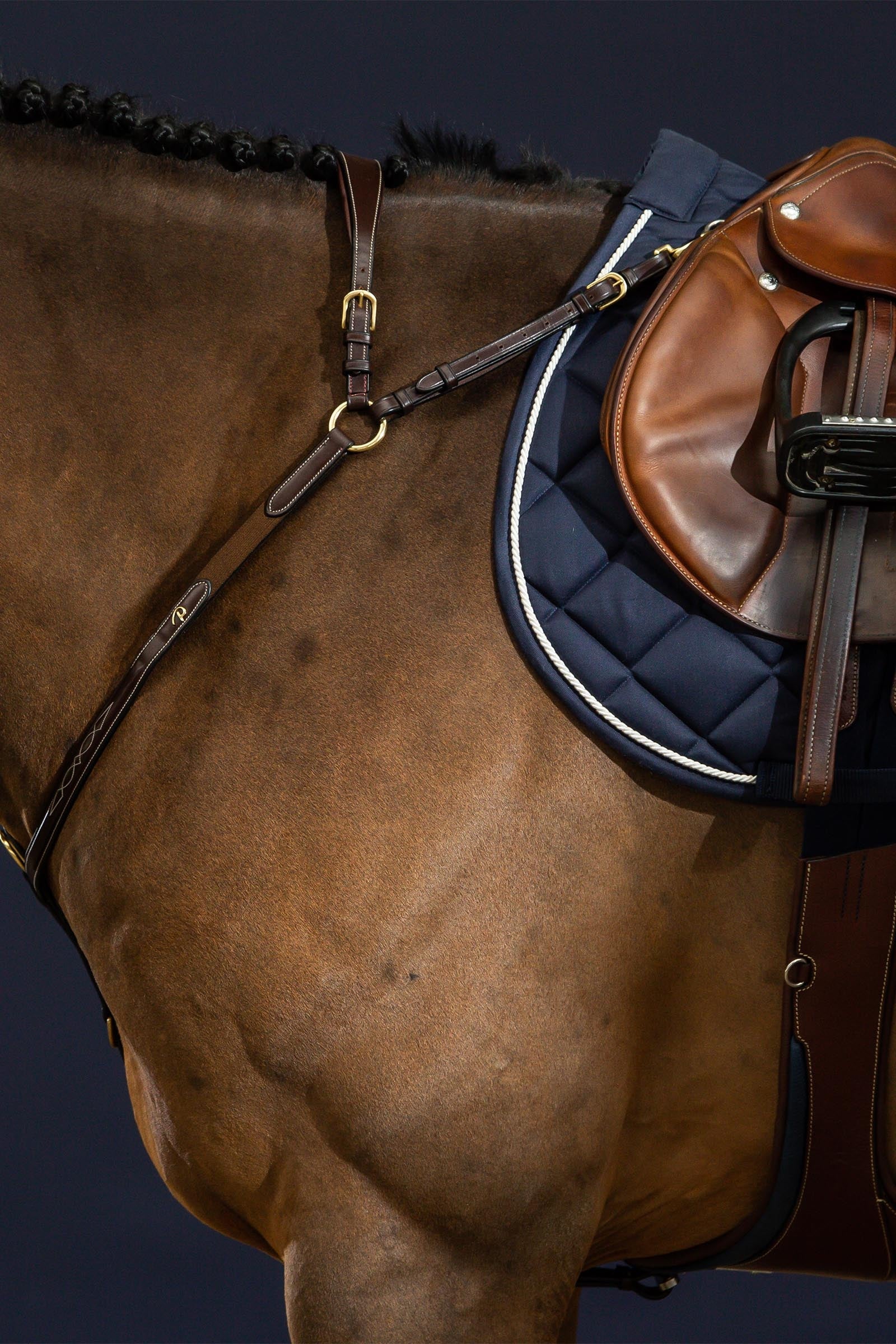 Dy'on D Collection Bridge Breastplate Bridles & Reins