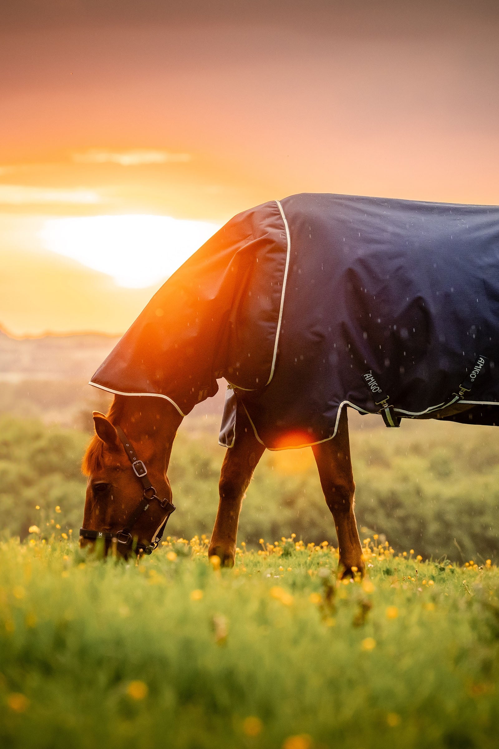 Horseware Amigo Ripstop 900D Plus Weidedecke mit abnehmbarem Halsteil, 0 g Pferdedecken