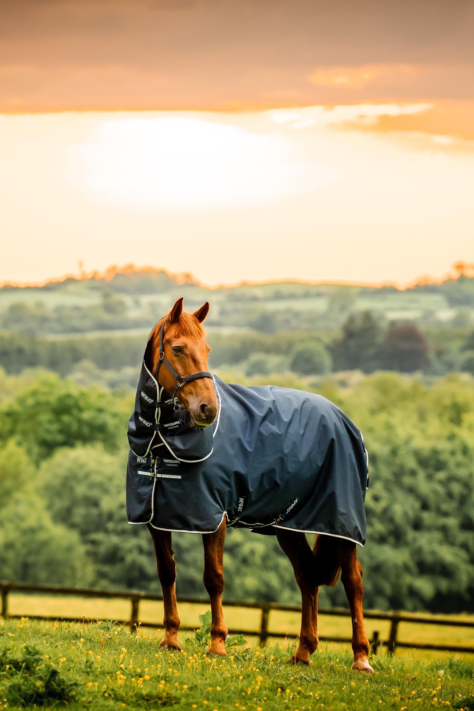 Horseware Amigo Ripstop 900D Plus Turnout Rug With Detachable Neck, 0 g Horse Rugs