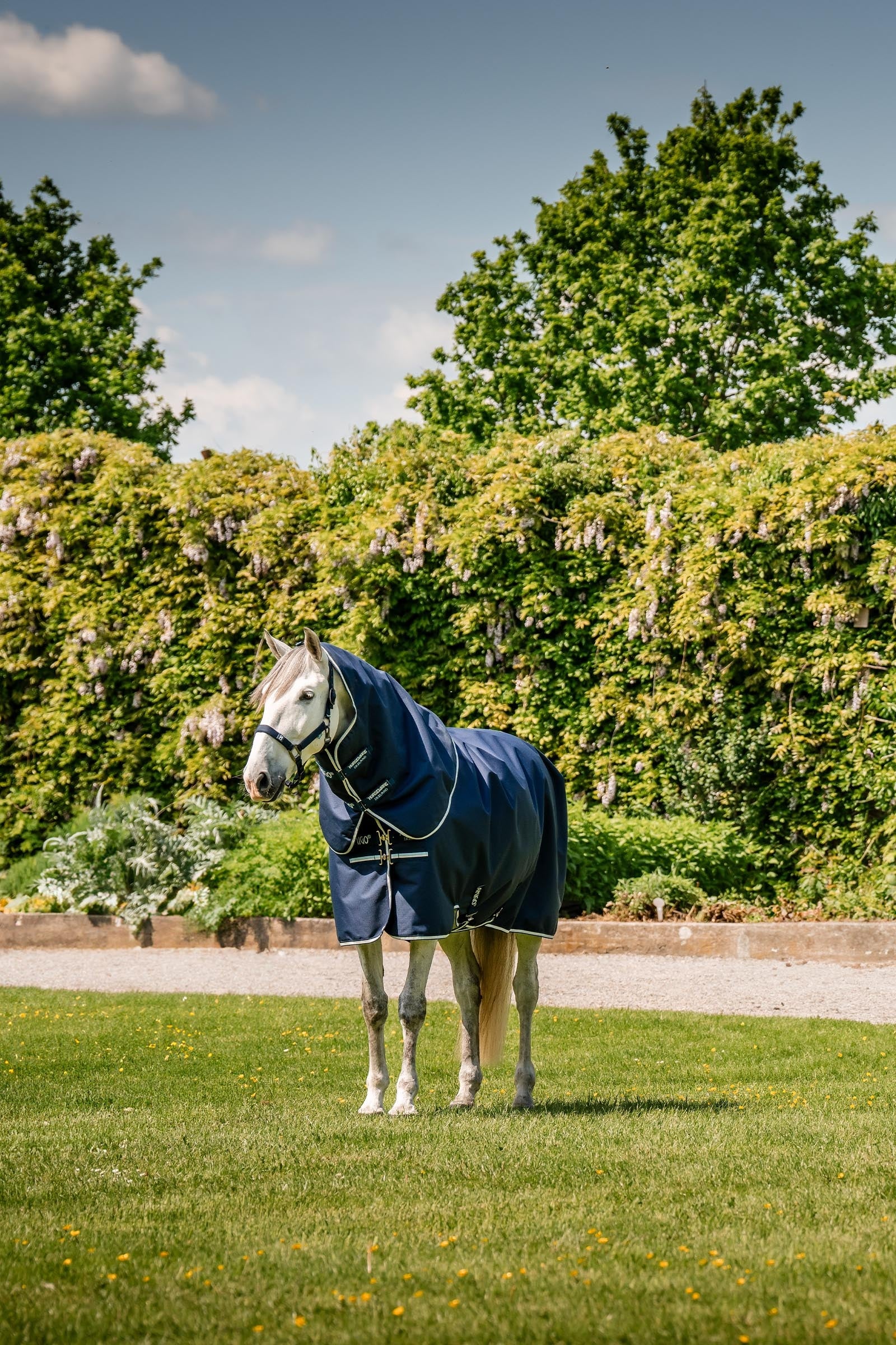 Horseware Amigo Ripstop 900D Plus Turnout Rug With Detachable Neck, 0 g Horse Rugs