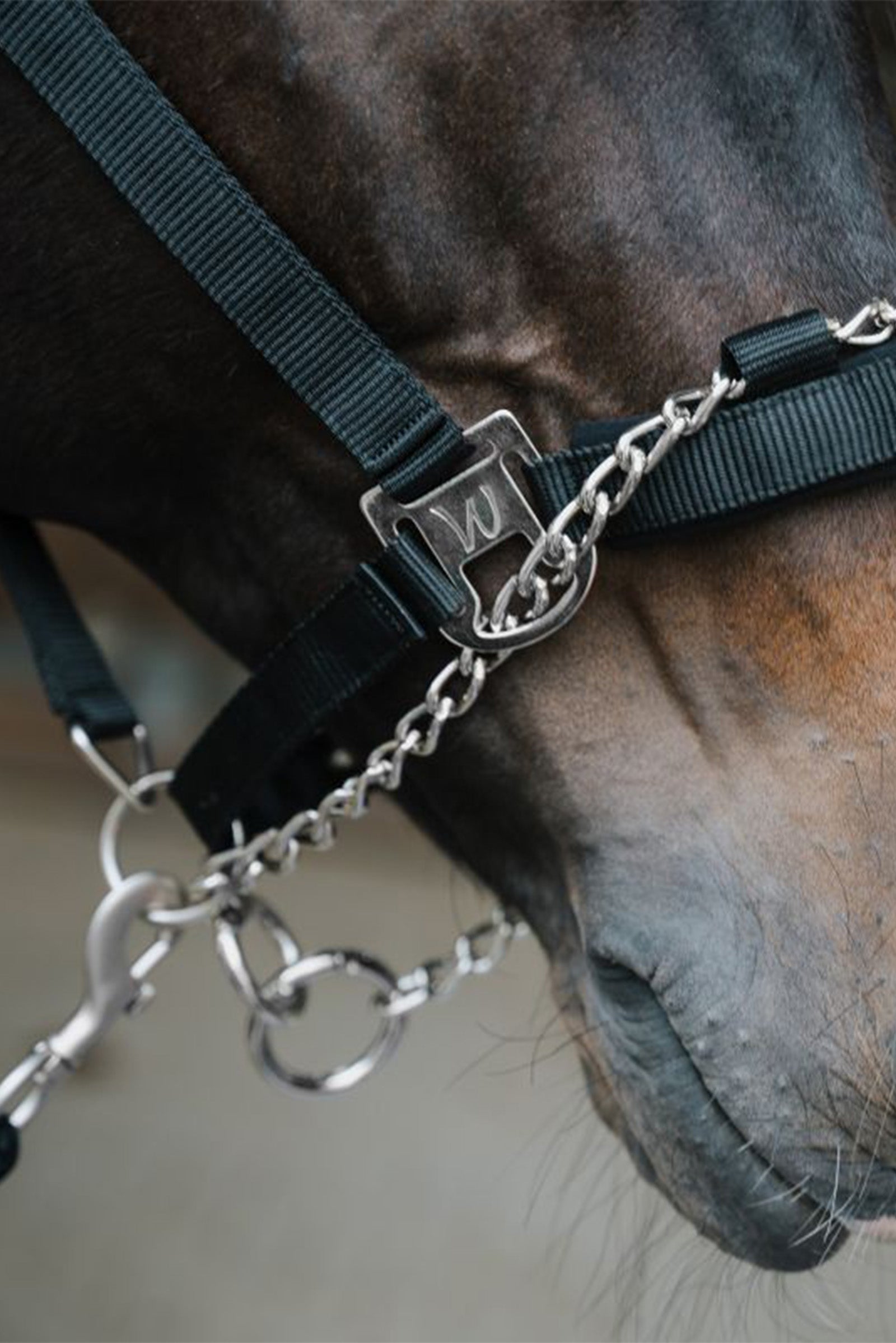 Waldhausen Pro Safety halter Halters & Leads