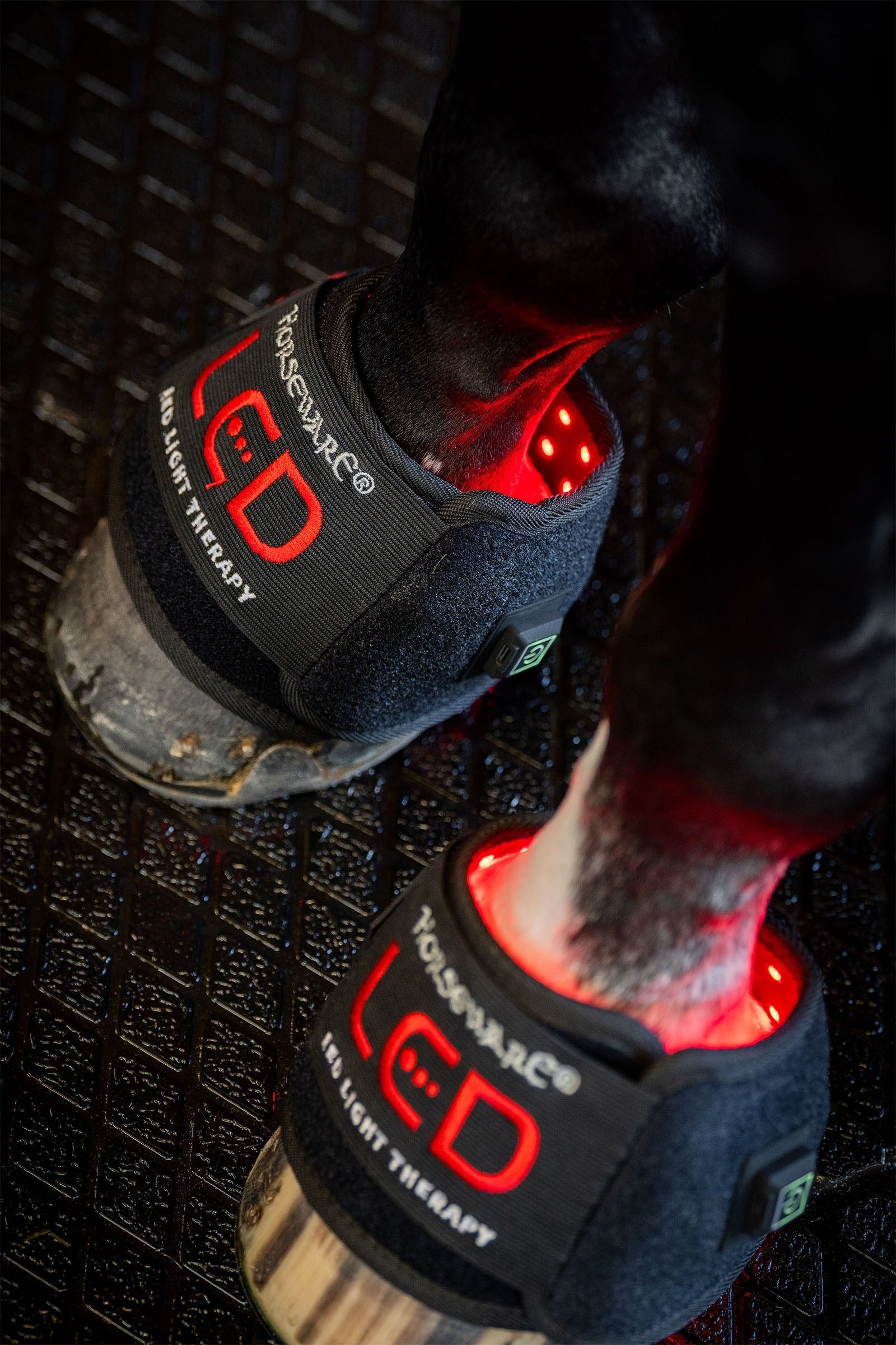 Horseware LED Rotlicht Therapie Mini-Gamasche (1 Stk.) Leg Protection & Hoof Protection for Horses