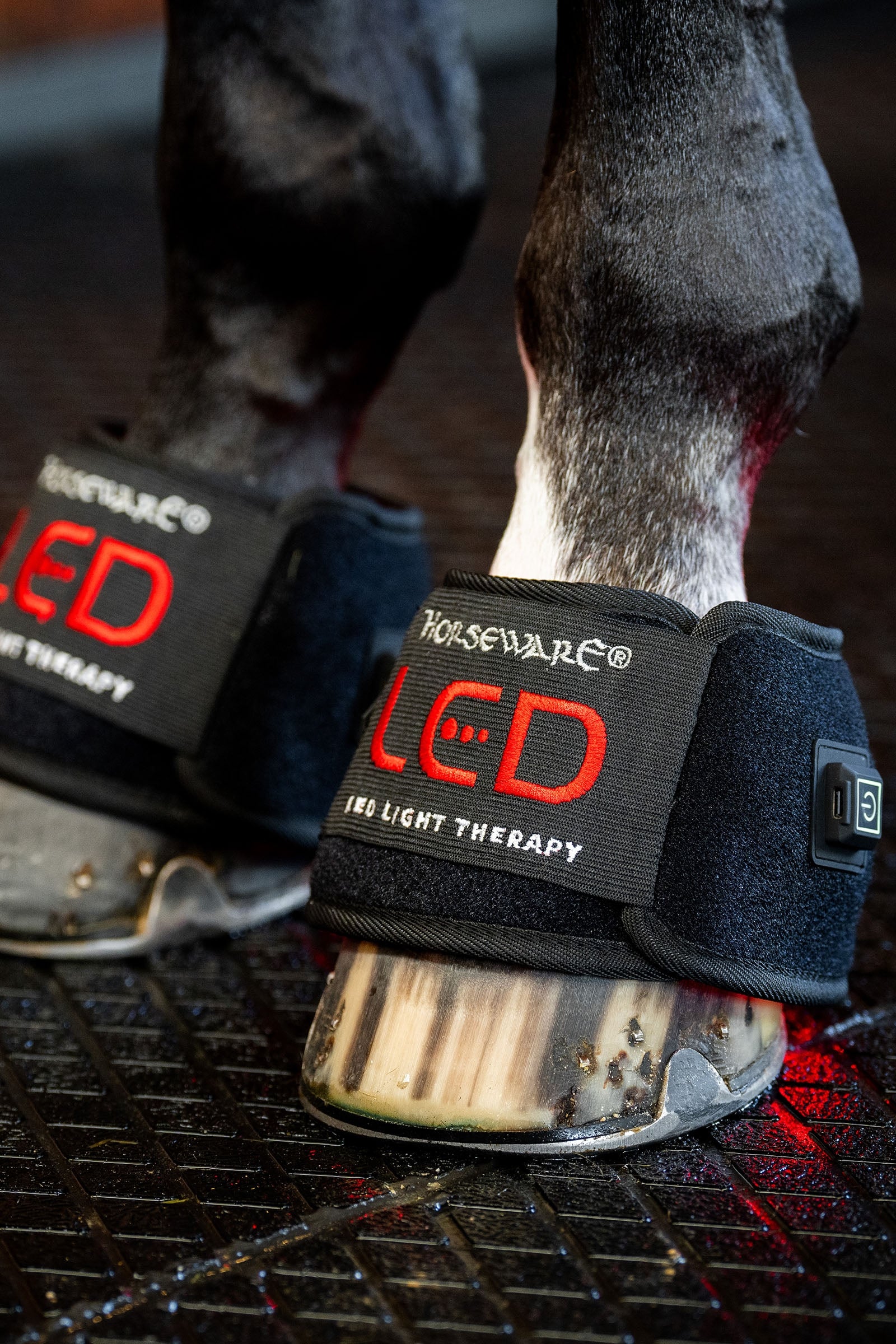 Horseware LED Red Light Therapy Mini Leg Wrap (1 pc.) Leg & Hoof Protection