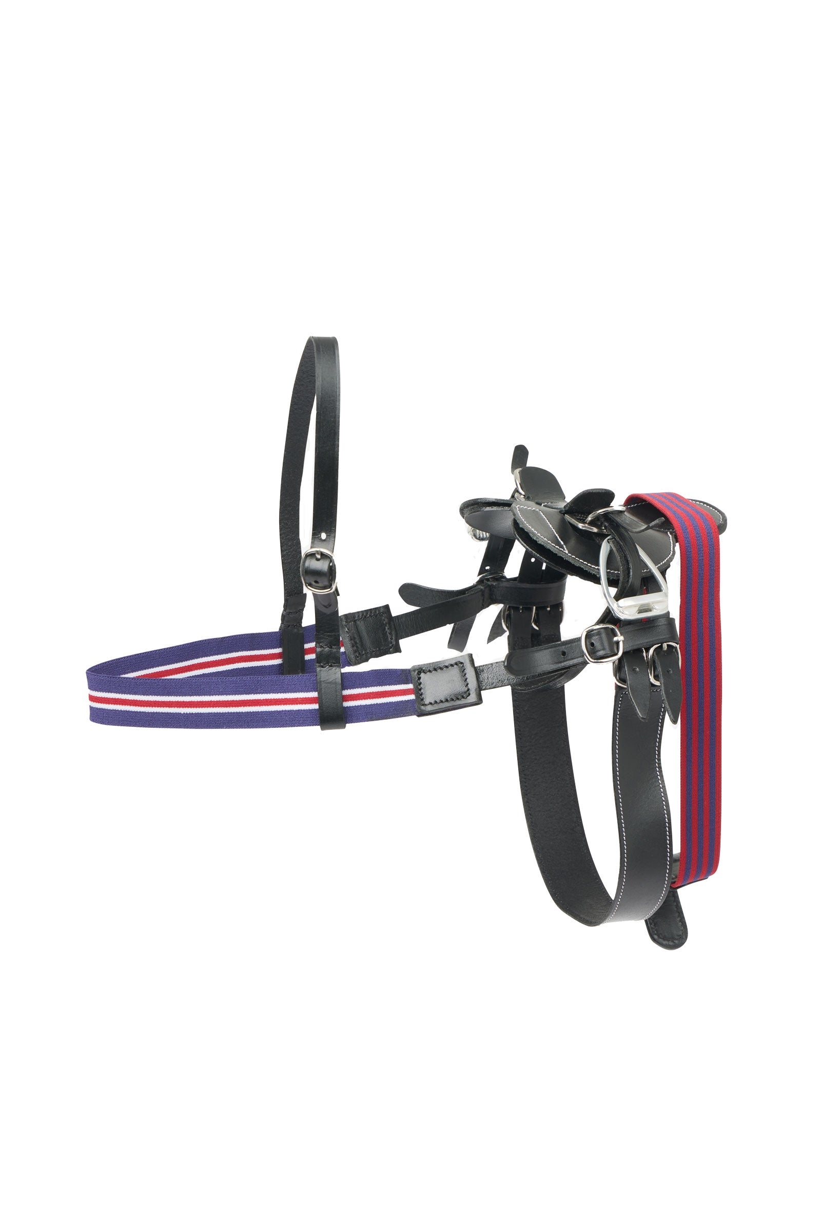 LeMieux Toy Pony Rennsattel und Vorderzeug Set Geschenkartikel