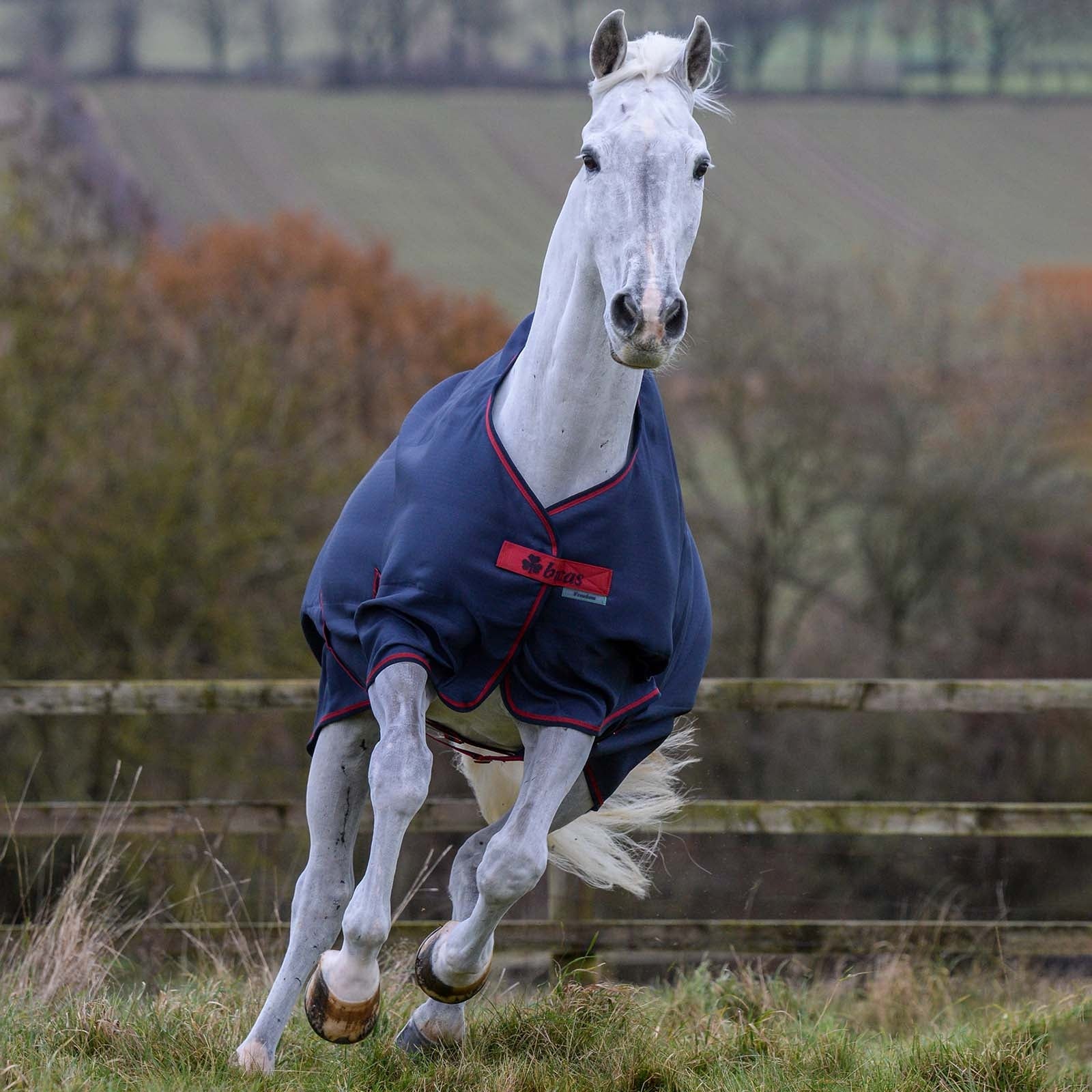 Bucas Freedom Light Turnout Rug, 0g Horse Rugs