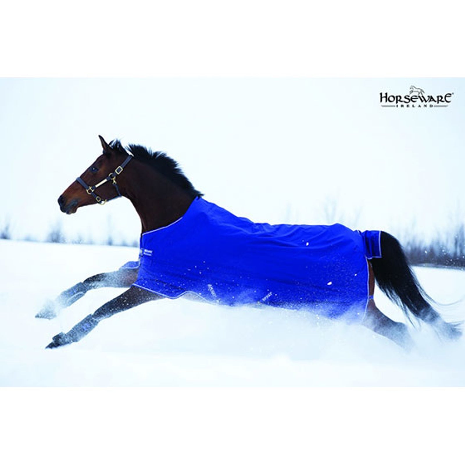 Horseware Amigo Hero-6 Lite Regendecke, 0g Pferdedecken
