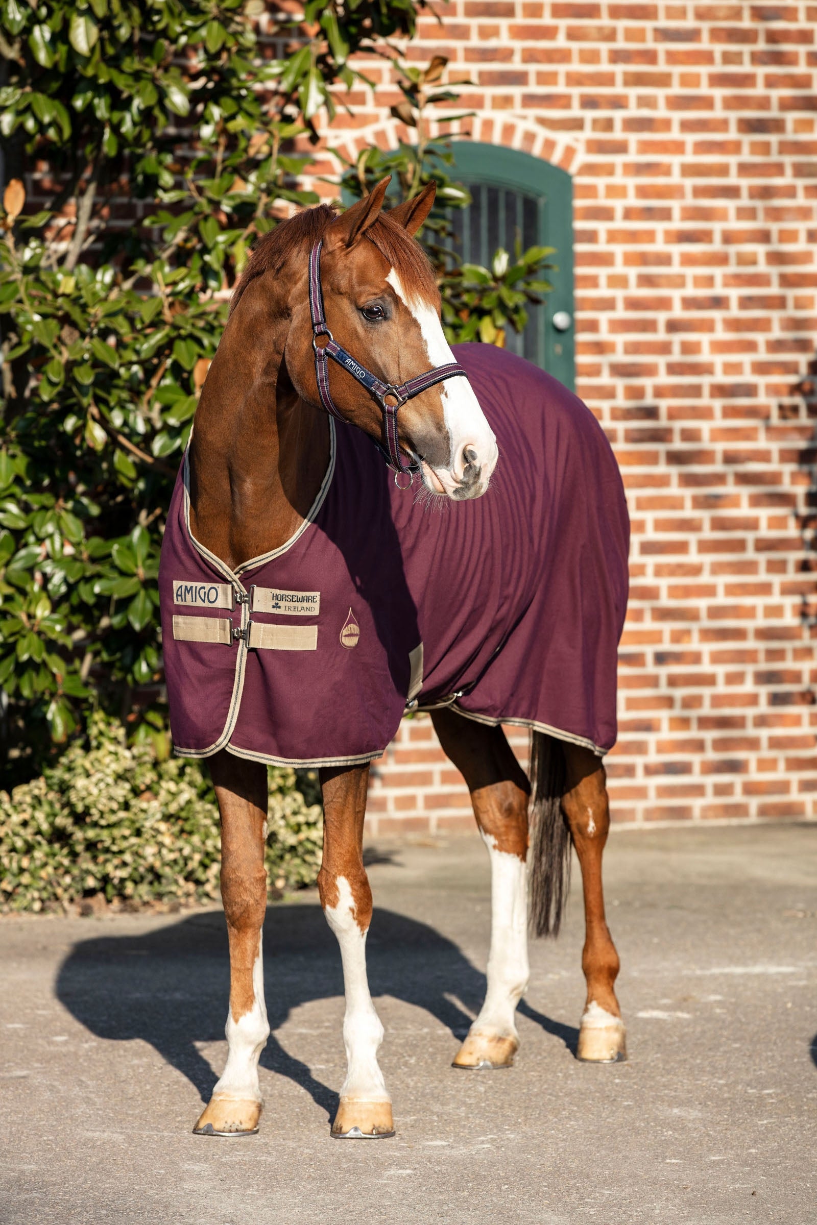 Horseware Amigo Stable Sheet, 0g Horse Rugs