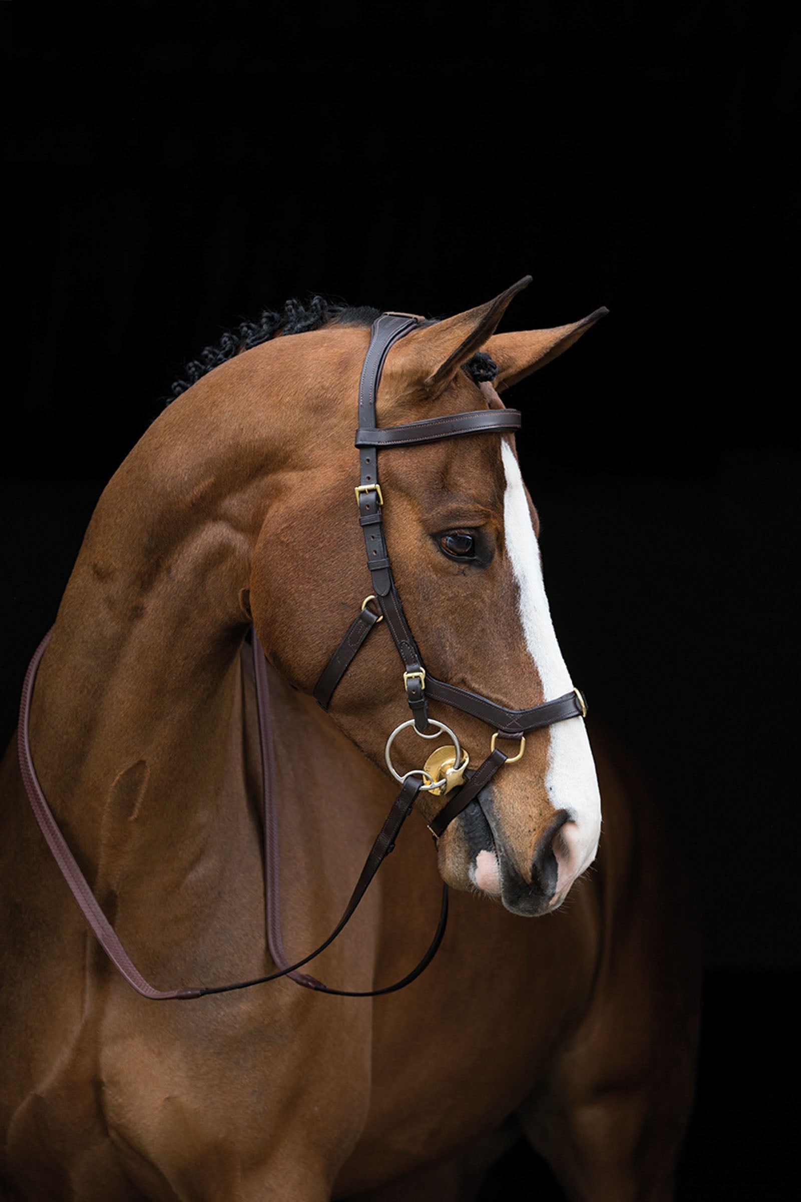 Horseware Rambo Micklem Multi Trense Trensenzäume & Zügel