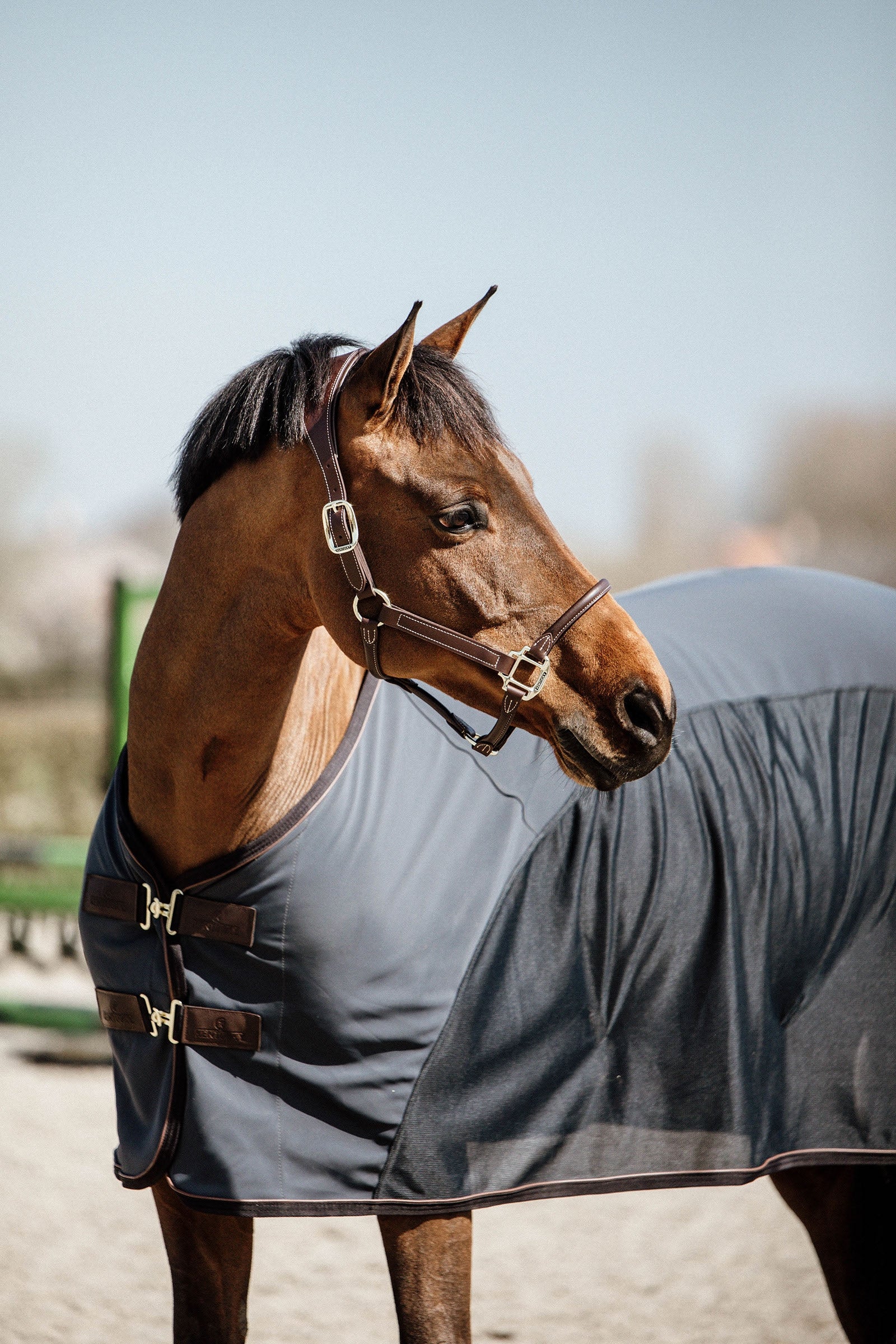 Kentucky Horsewear Softshell Abschwitzdecke Pferdedecken