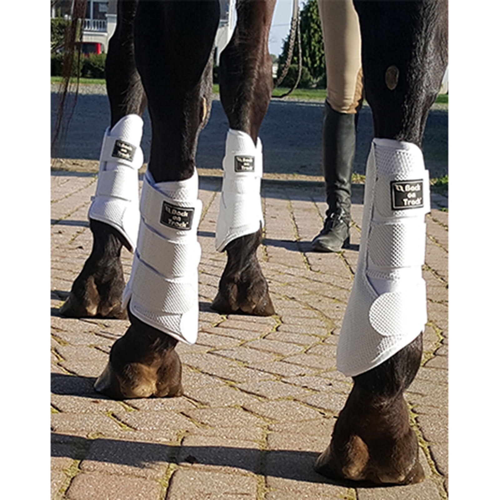Back on Track Gamaschen 3D Mesh, L-XL Leg Protection & Hoof Protection for Horses