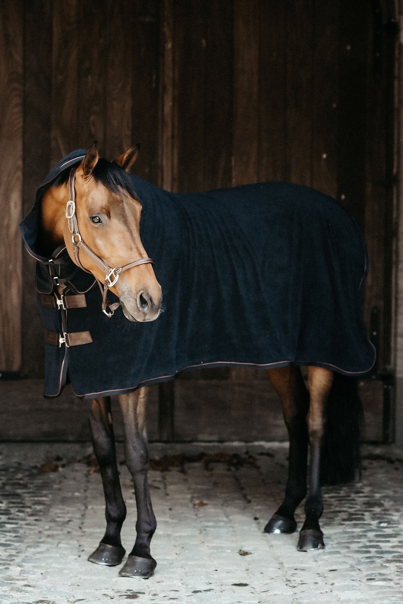 Kentucky Horsewear Towel Abschwitzdecke Pferdedecken