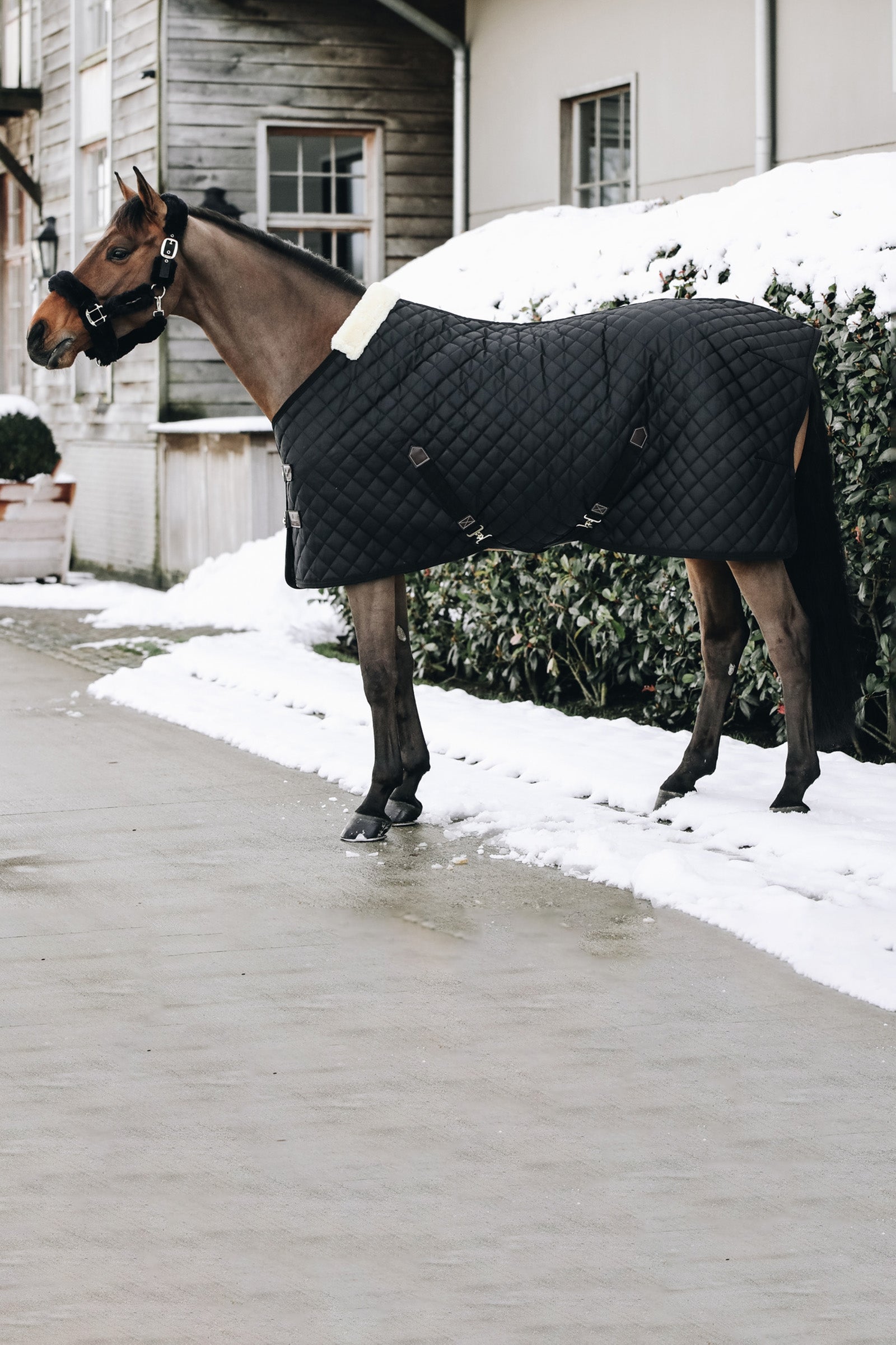 Kentucky Horsewear Stable Rug, 400g Horse Rugs