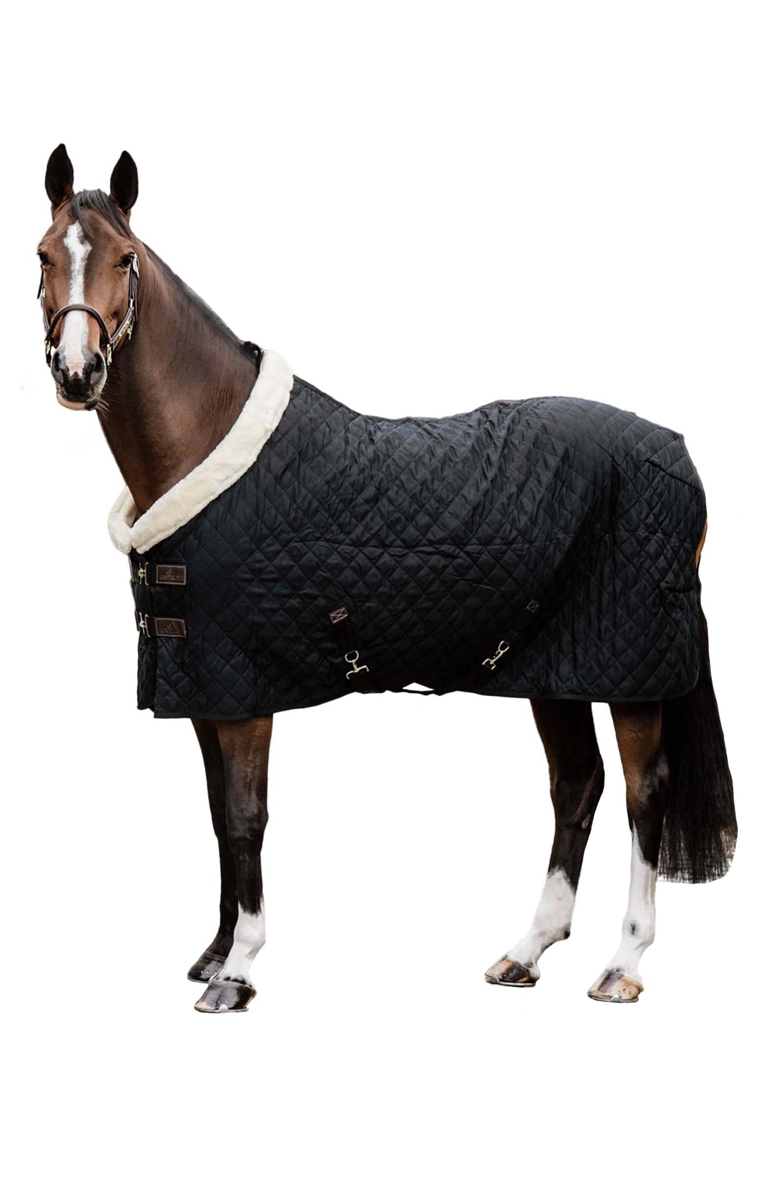 Kentucky Horsewear Show rug 160g Horse Rugs