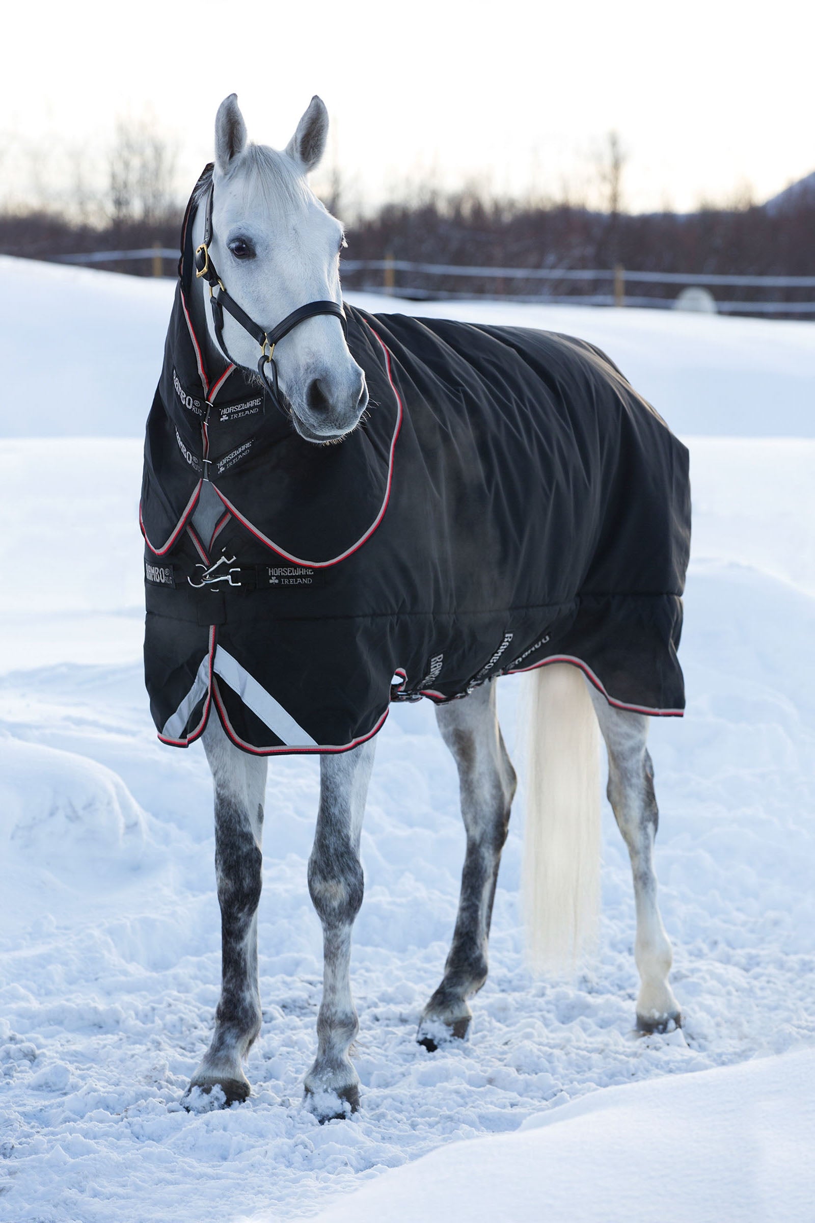 Horseware Rambo Supreme Winterdecke, 420g Pferdedecken