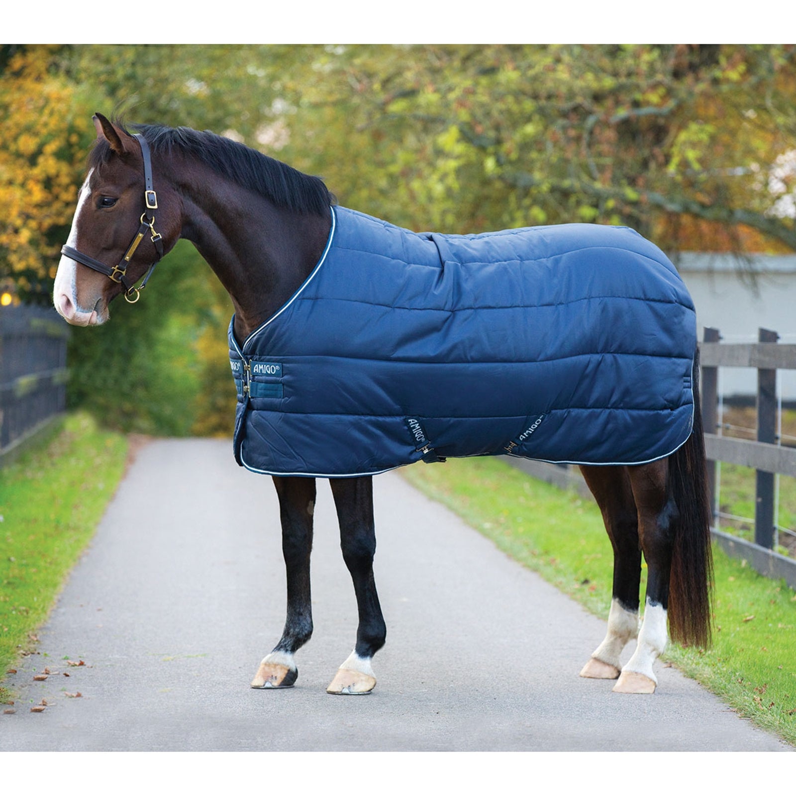 Horseware Amigo Insulator Stalldecke, 350g Pferdedecken