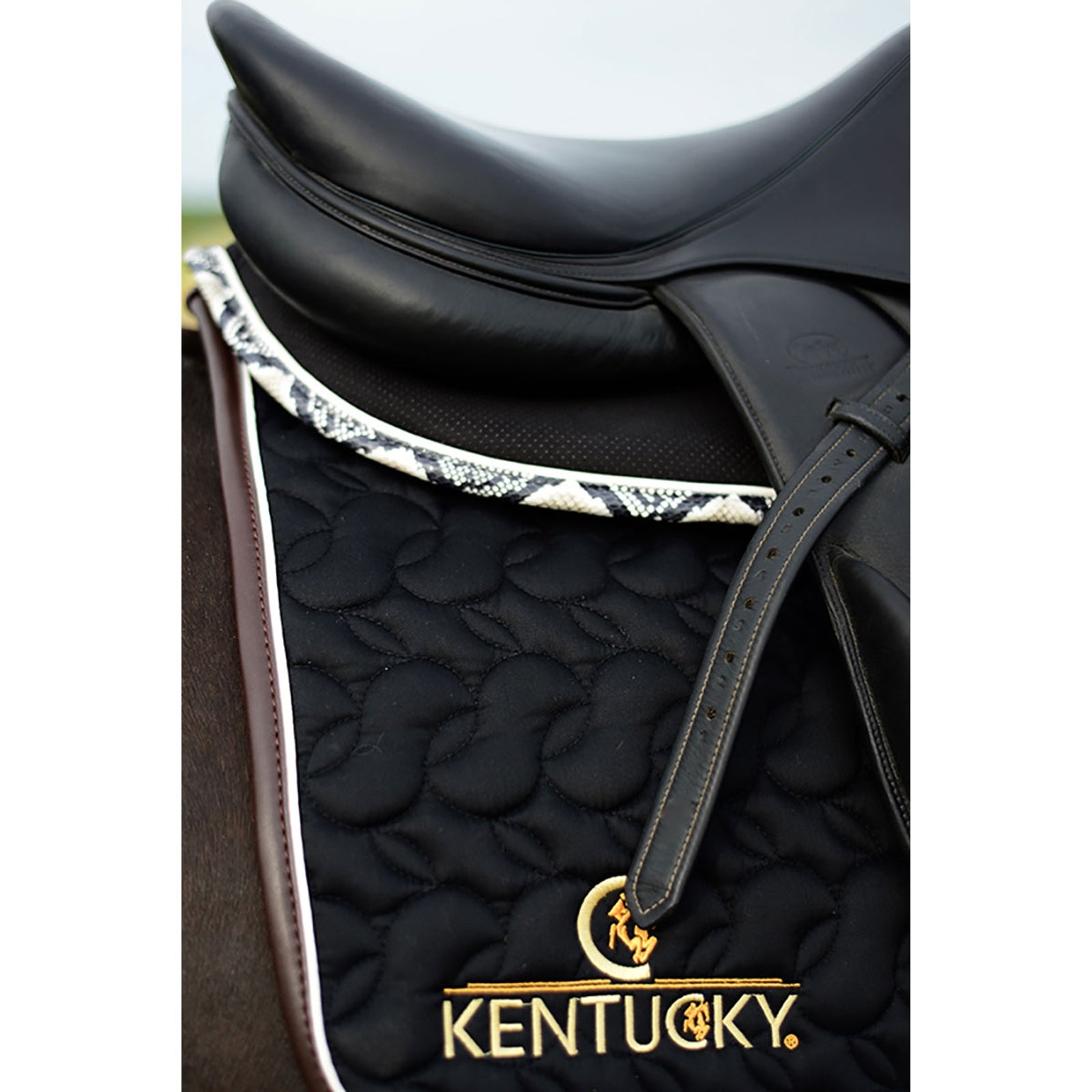 Kentucky Horsewear Schabracke Absorb Schabracken