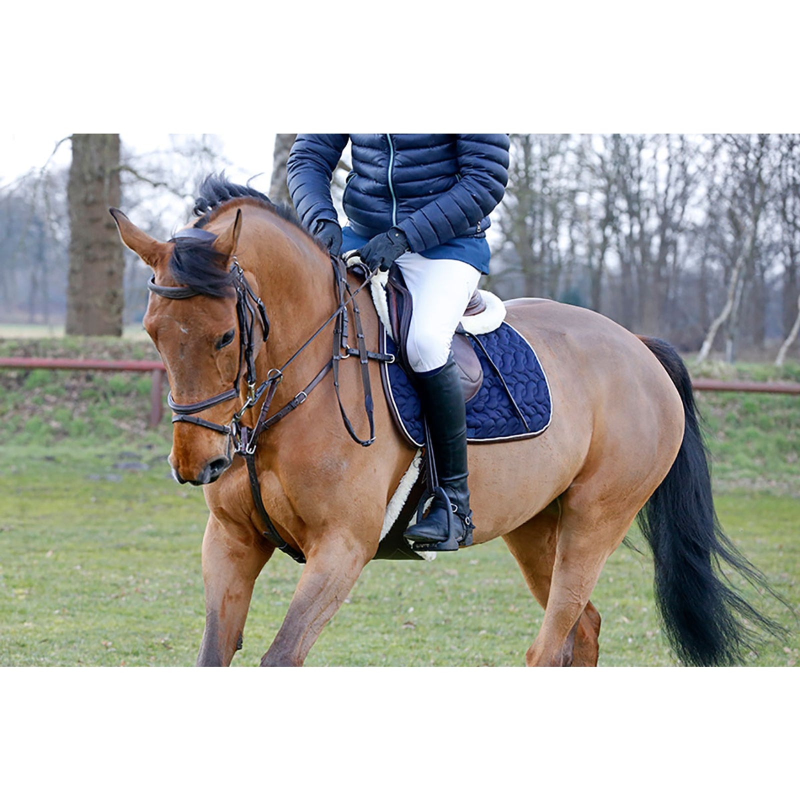Kentucky Horsewear Absorb Sheepskin Half Pad Saddle Pads