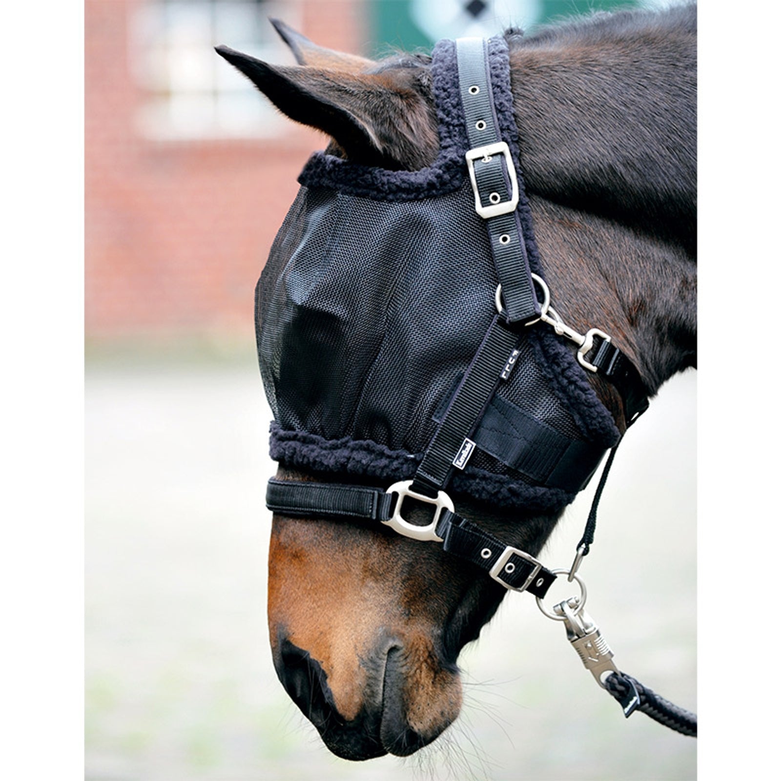 Kavalkade Fly mask without ears Antifly Protection for Horses