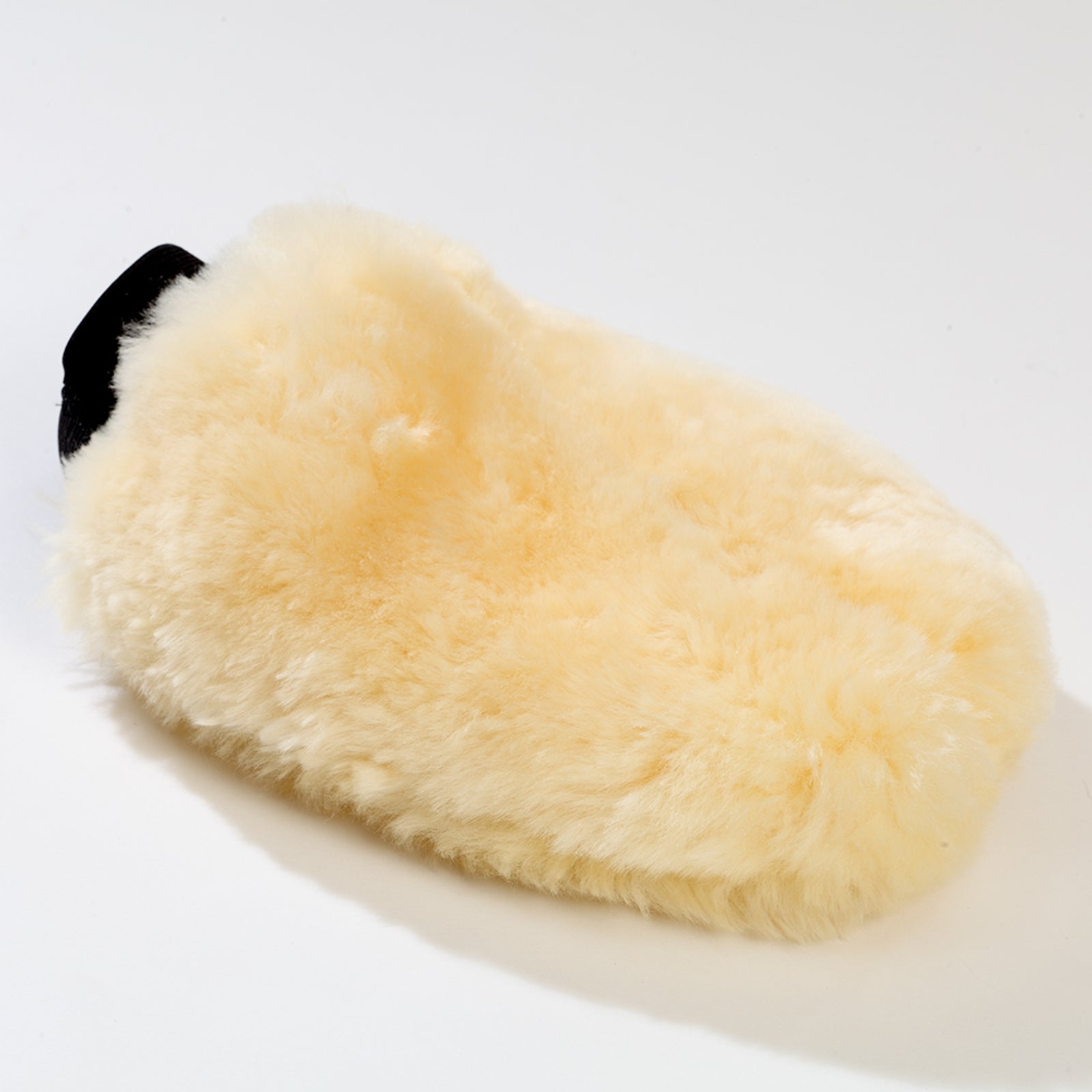 Kavalkade Putzhandschuh Pferde Putzzeug