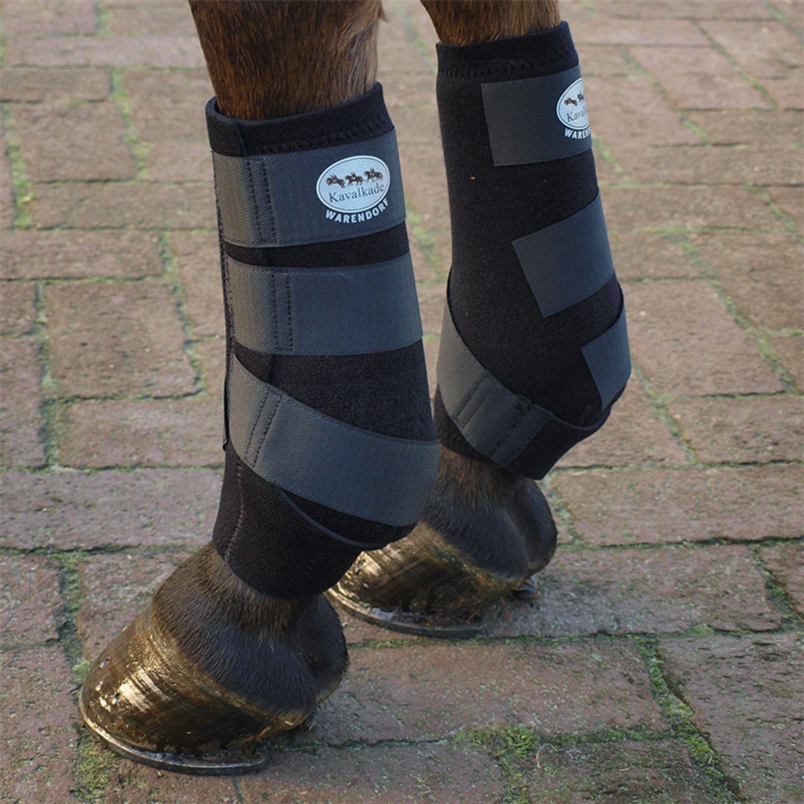 Kavalkade Neoprengamaschen "Allround" Leg Protection & Hoof Protection for Horses