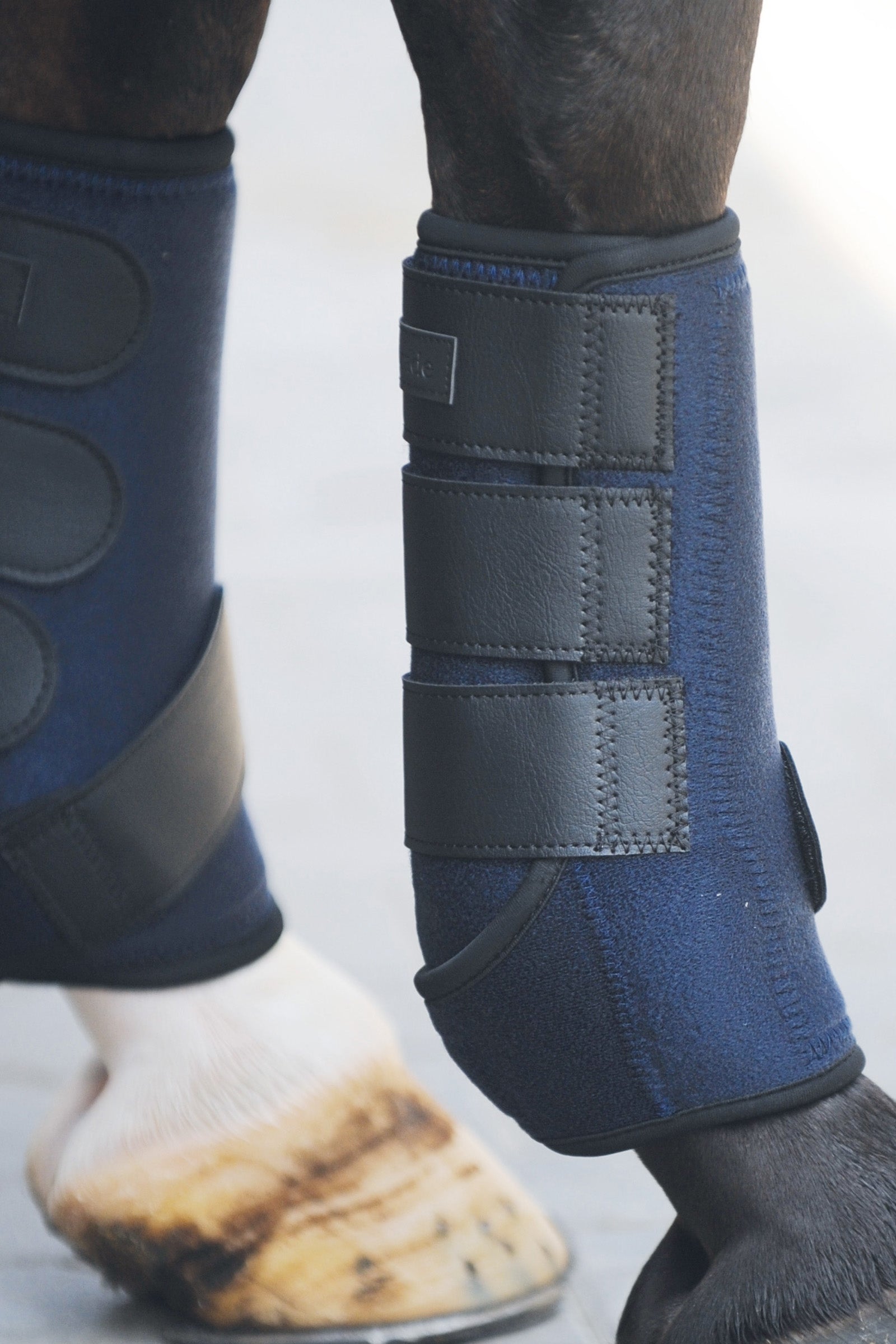 Kavalkade Neoprengamaschen "Allround" Leg Protection & Hoof Protection for Horses