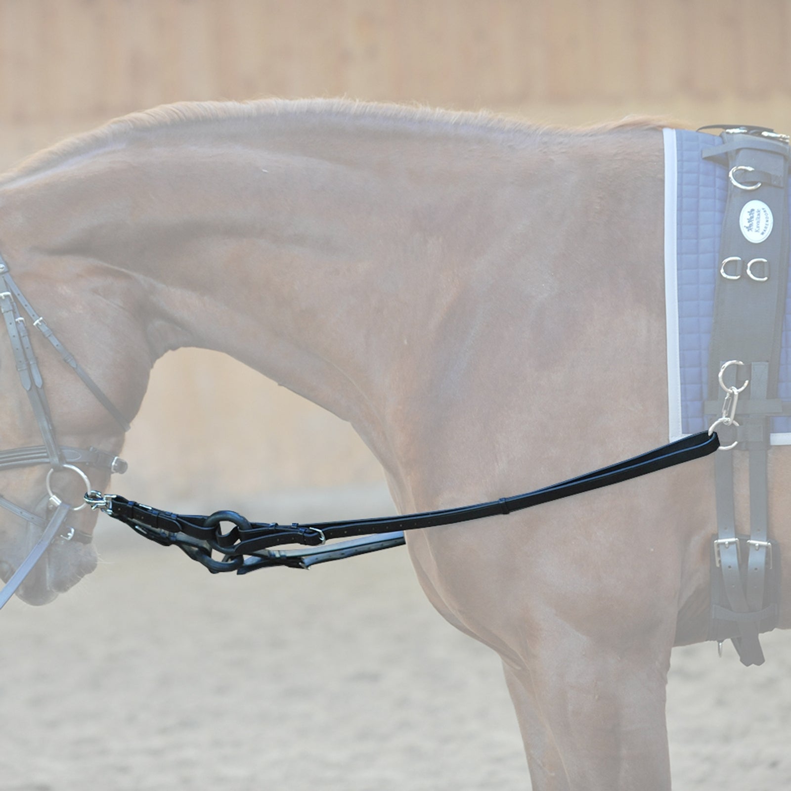 Kavalkade Ausbinder Trensenzäume & Zügel