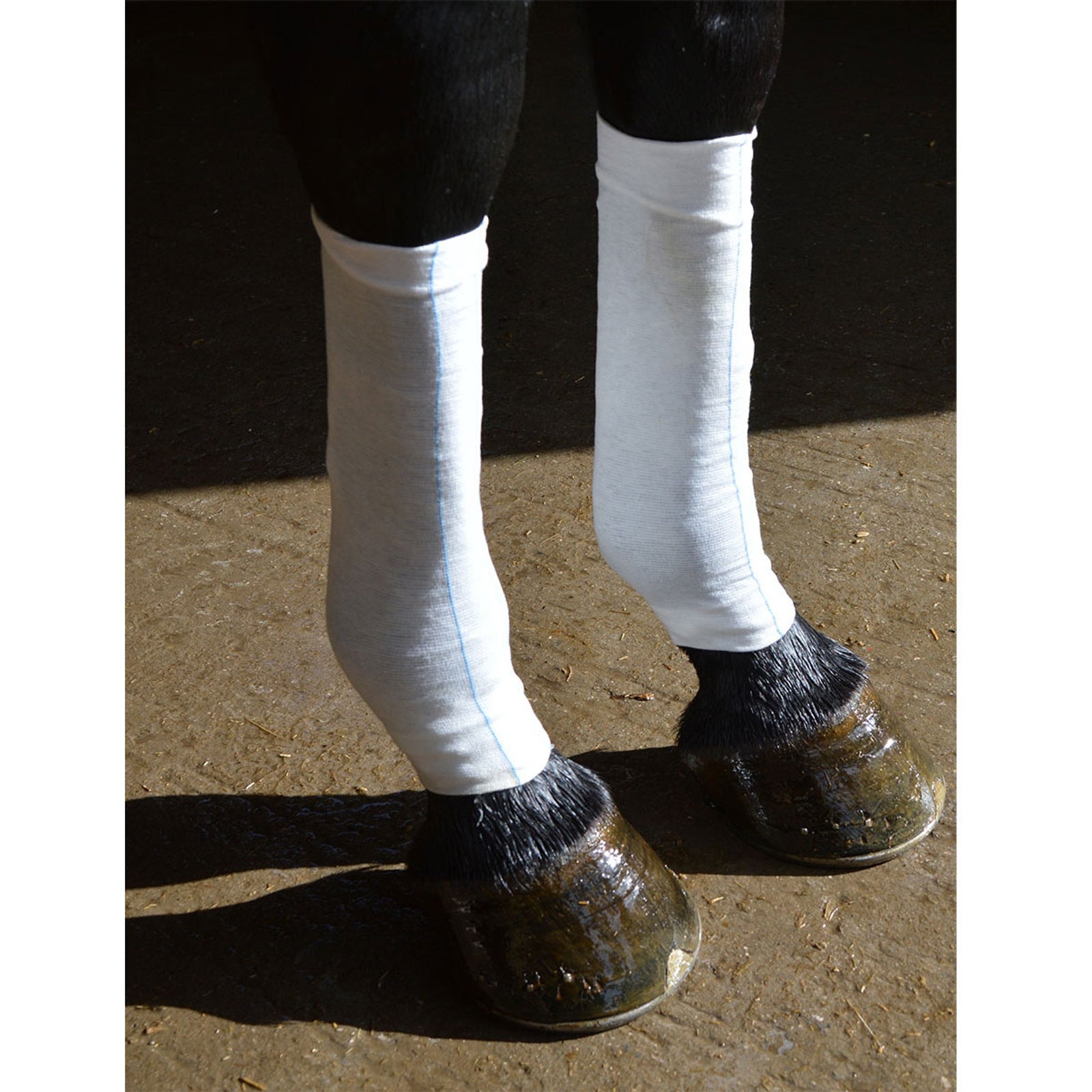 Equi-N-icE Ice Socks Pflege