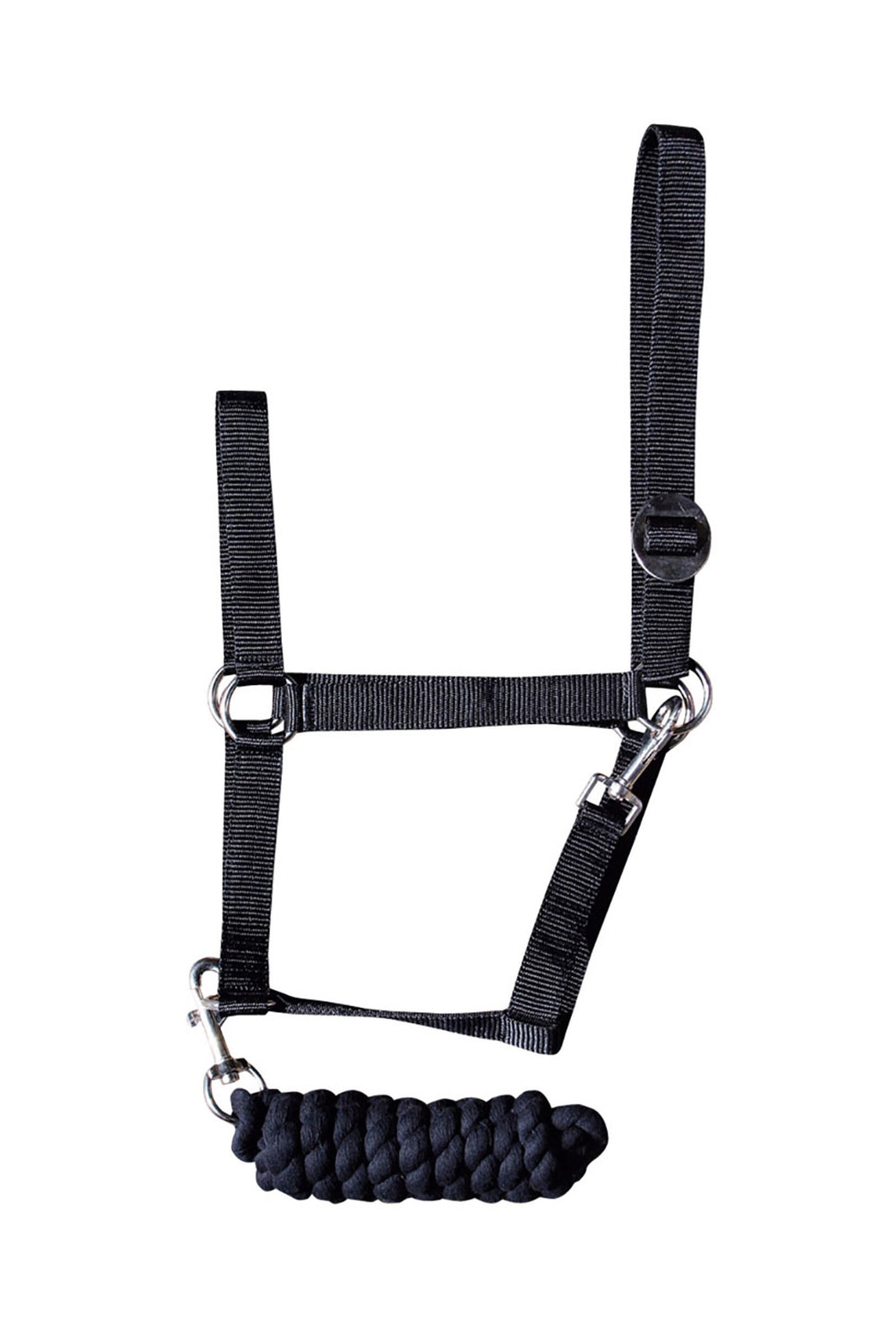 Harry's Horse Halfter-Set Einsteiger Halfter & Stricke
