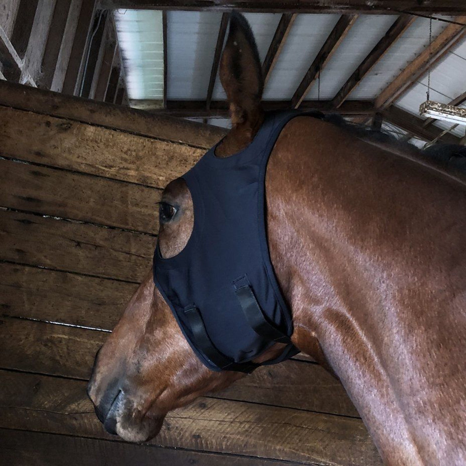 Fenwick Equestrian USA Fenwick Liquid Titanium Maske, Klettverschluss Fahrsport
