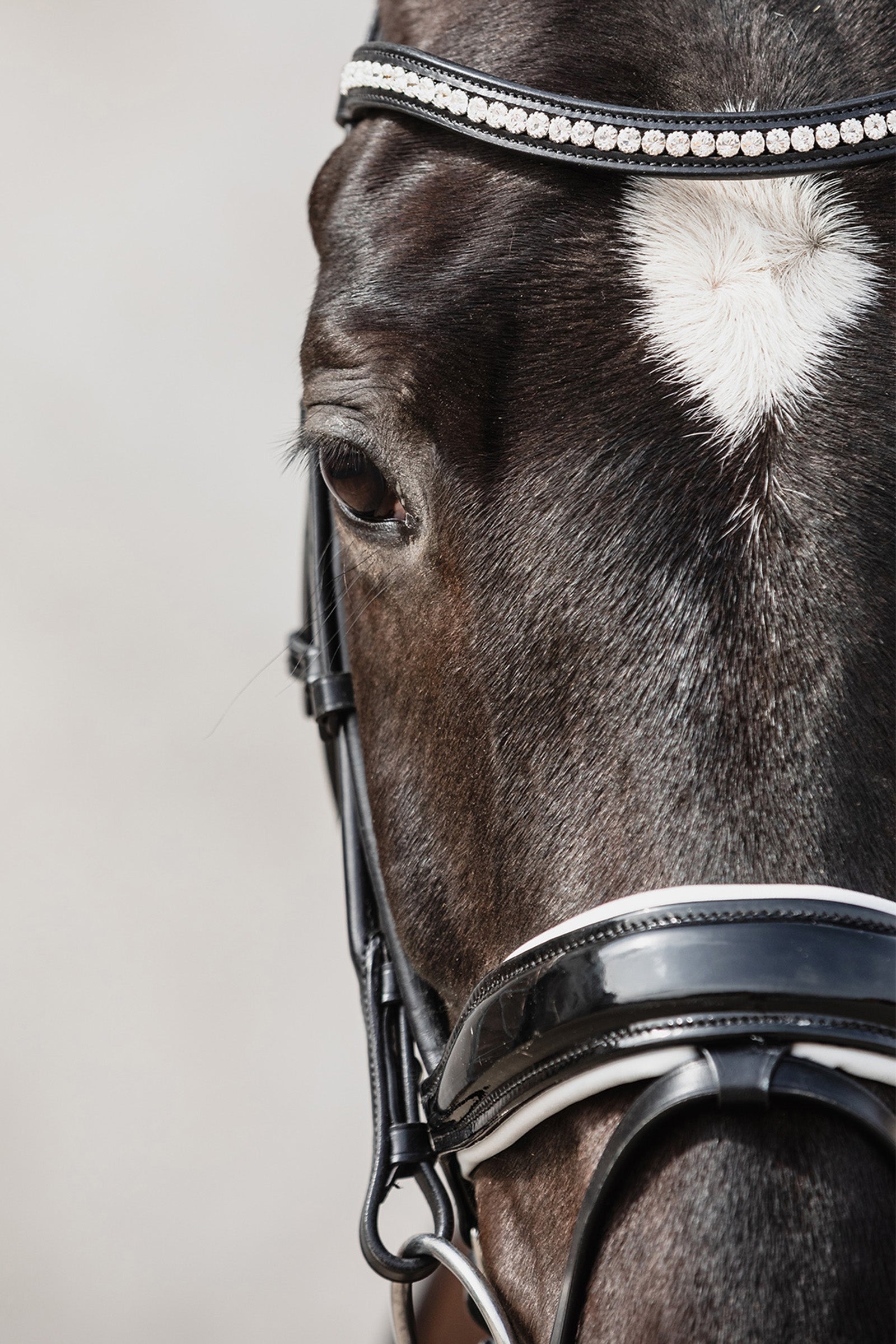 Schockemöhle Sports Malibu Anatomical Dressage Bridle Bridles & Reins