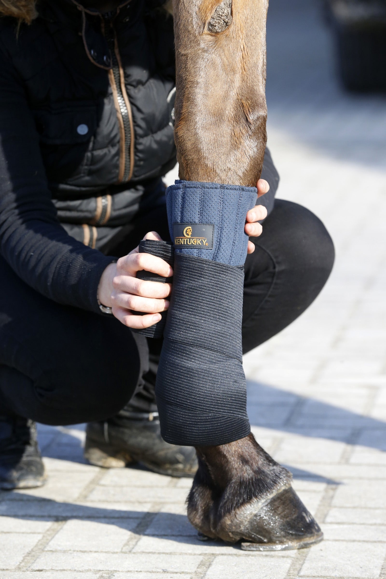 Kentucky Horsewear Elastic Bandages Leg Protection & Hoof Protection for Horses