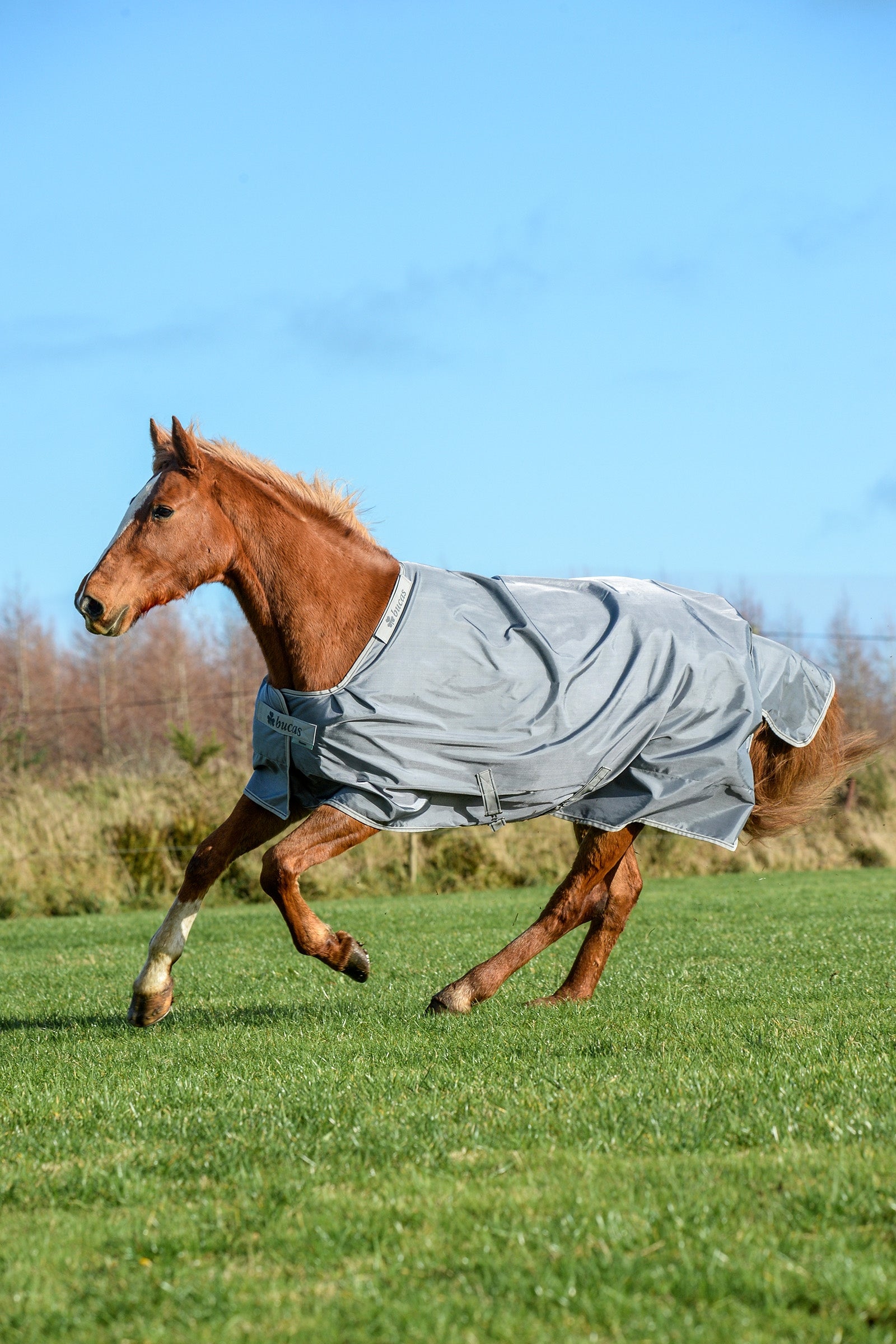 Bucas Smartex Extra Decke, 300g Pferdedecken