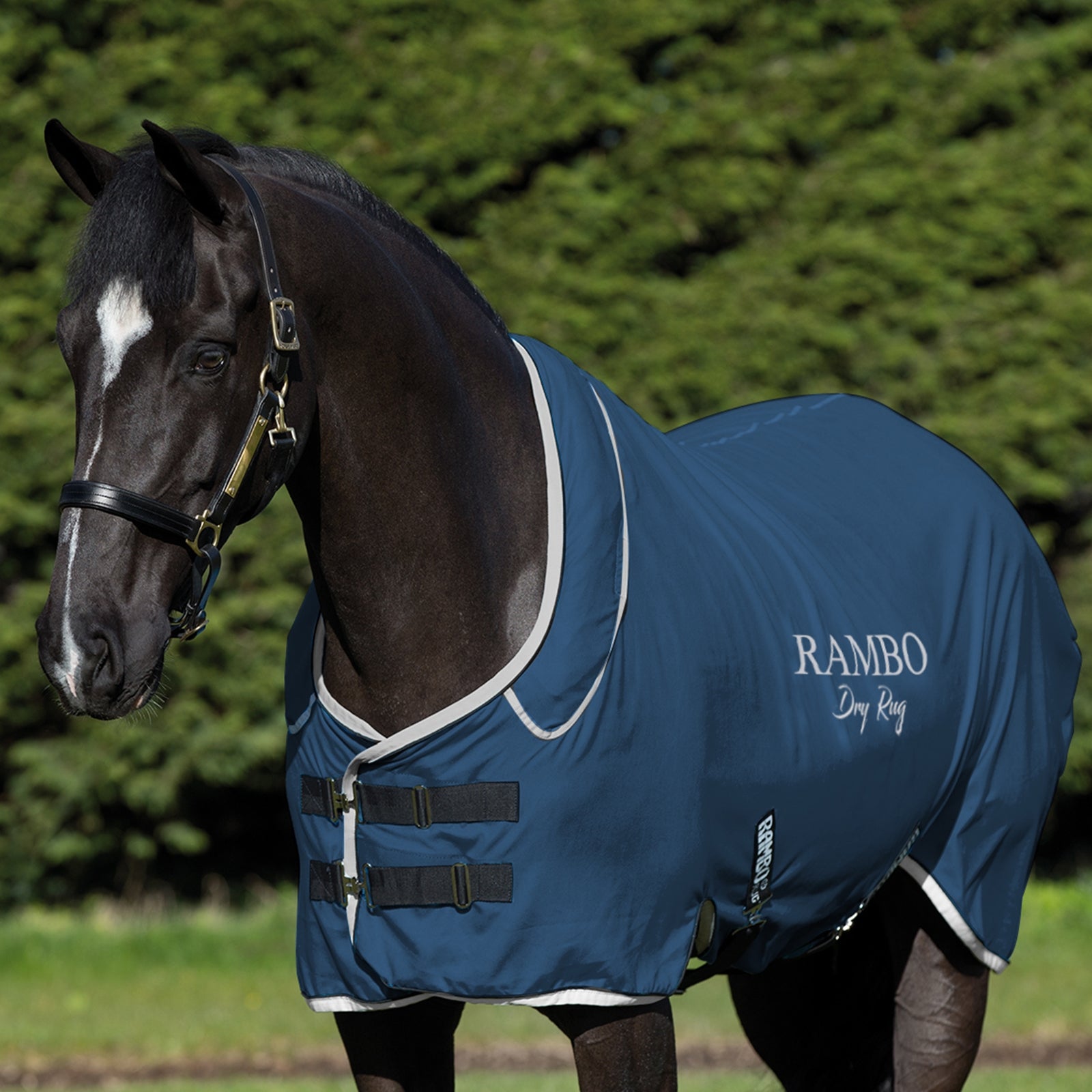 Horseware Rambo Dry Rug Supreme Horse Rugs