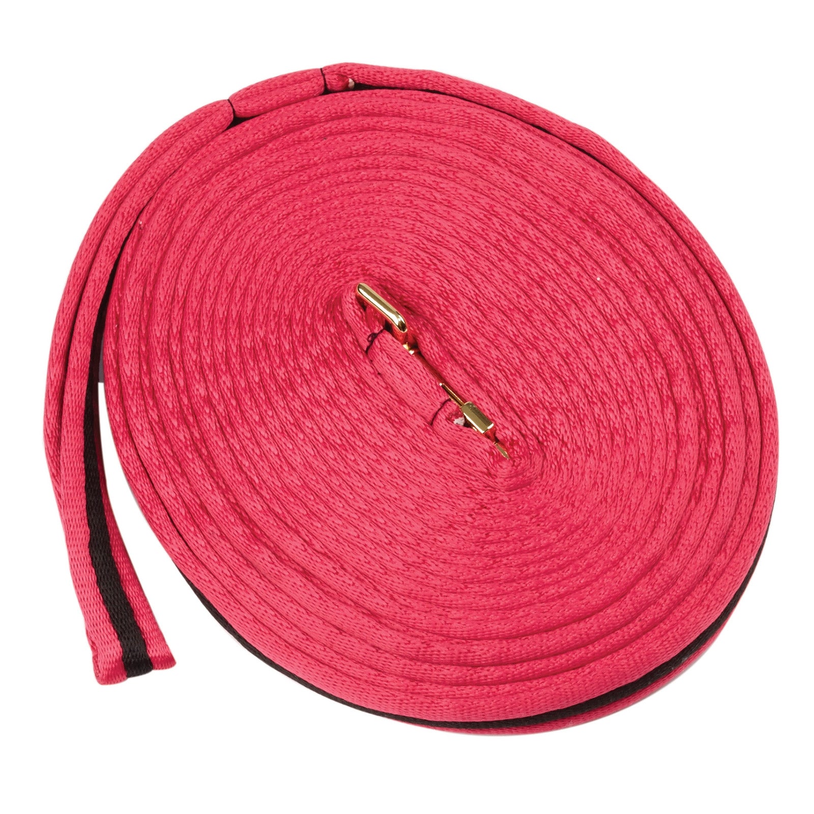 Kincade Brights Two Tone Padded Lunging rein 8m Horse Training